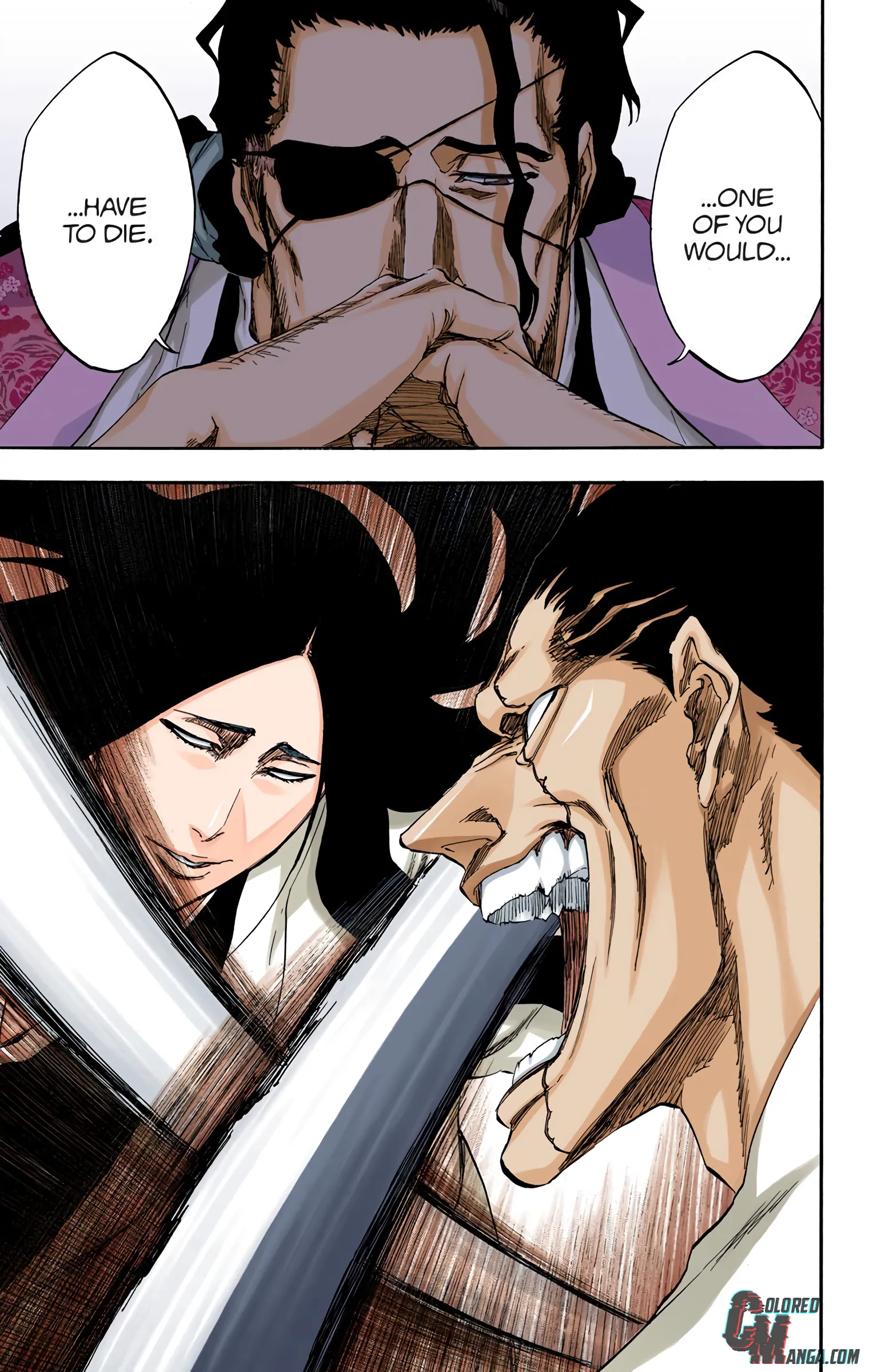 Read Bleach (Colored) EN Manga Online