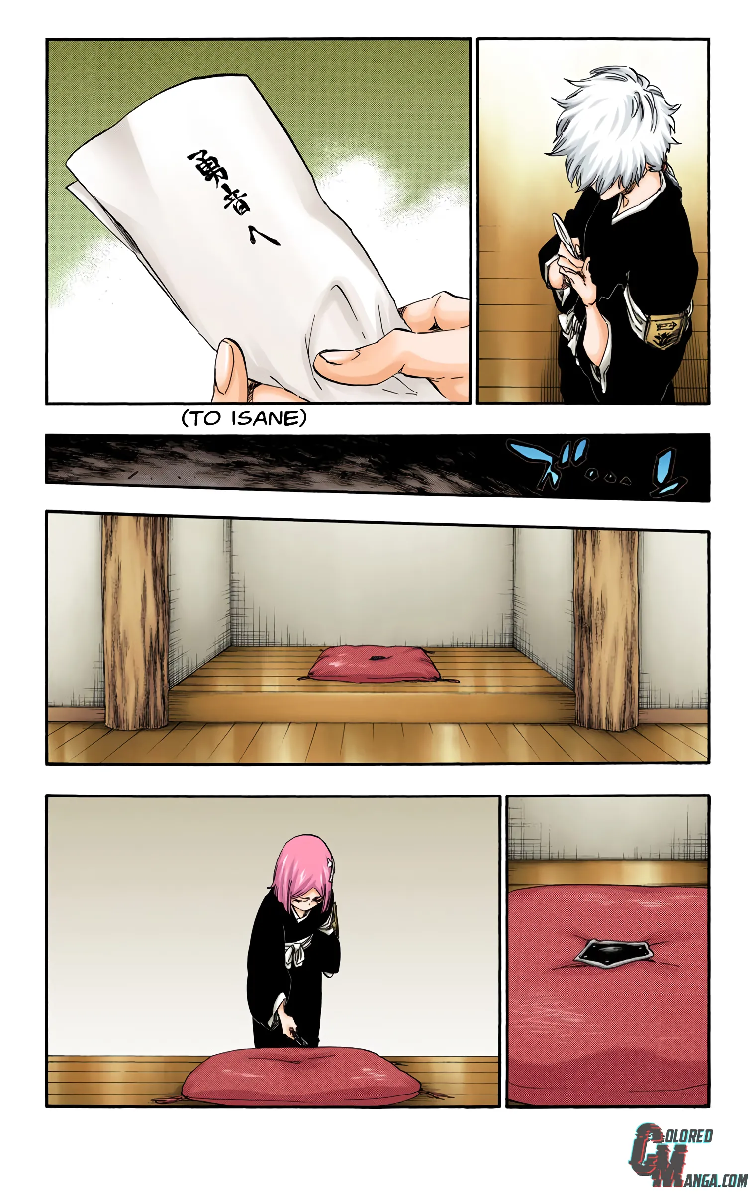 Read Bleach (Colored) EN Manga Online