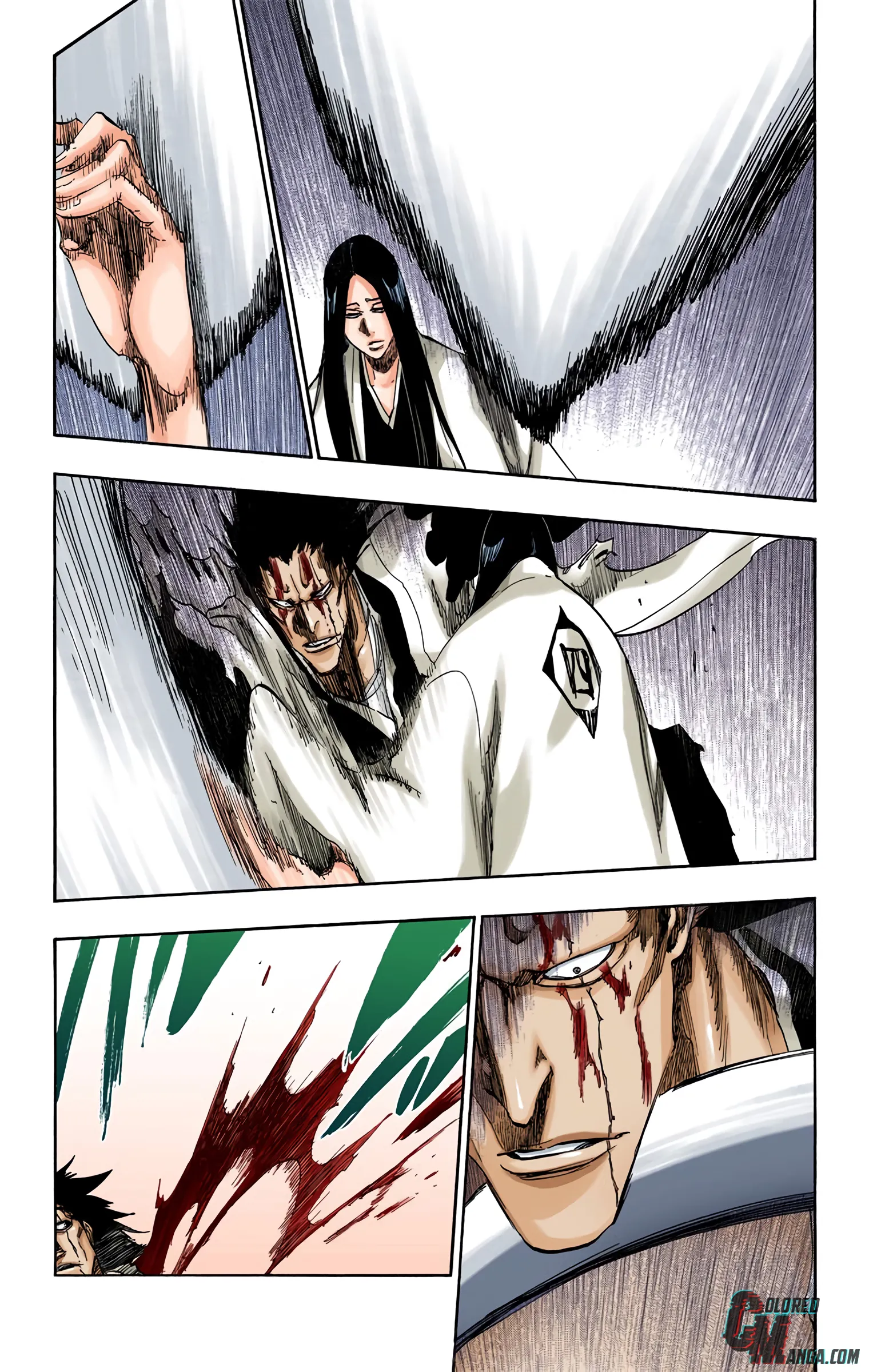 Read Bleach (Colored) EN Manga Online
