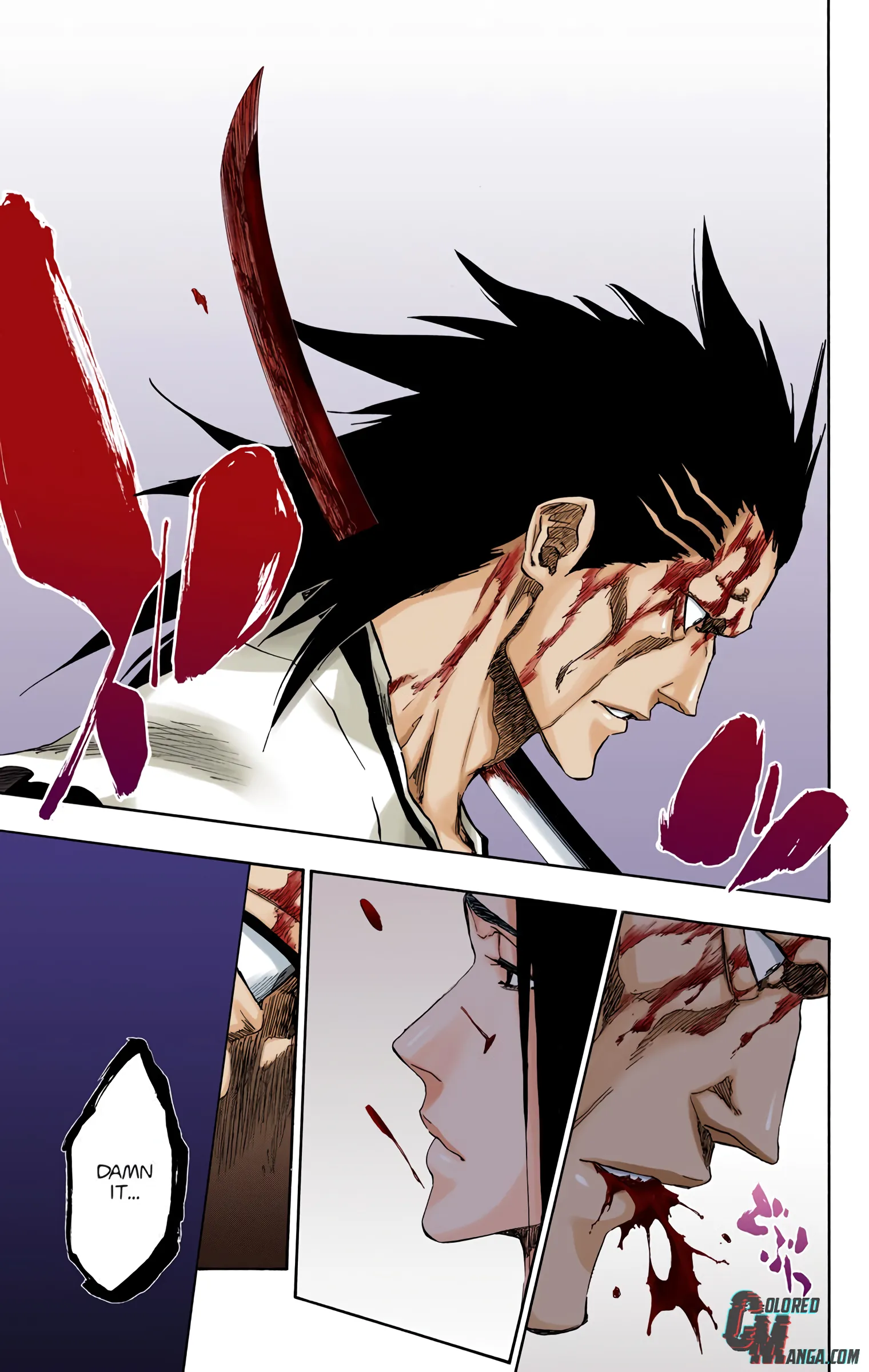 Read Bleach (Colored) EN Manga Online