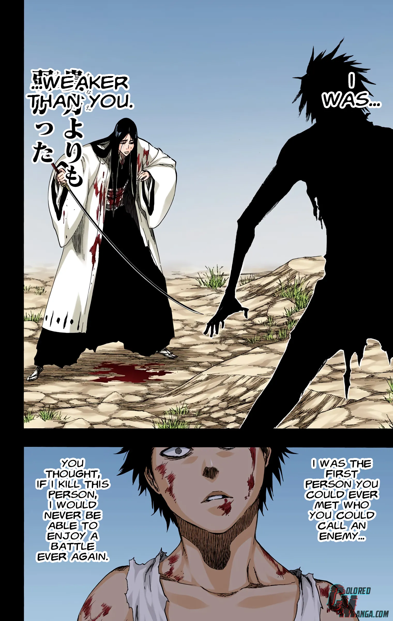 Read Bleach (Colored) EN Manga Online
