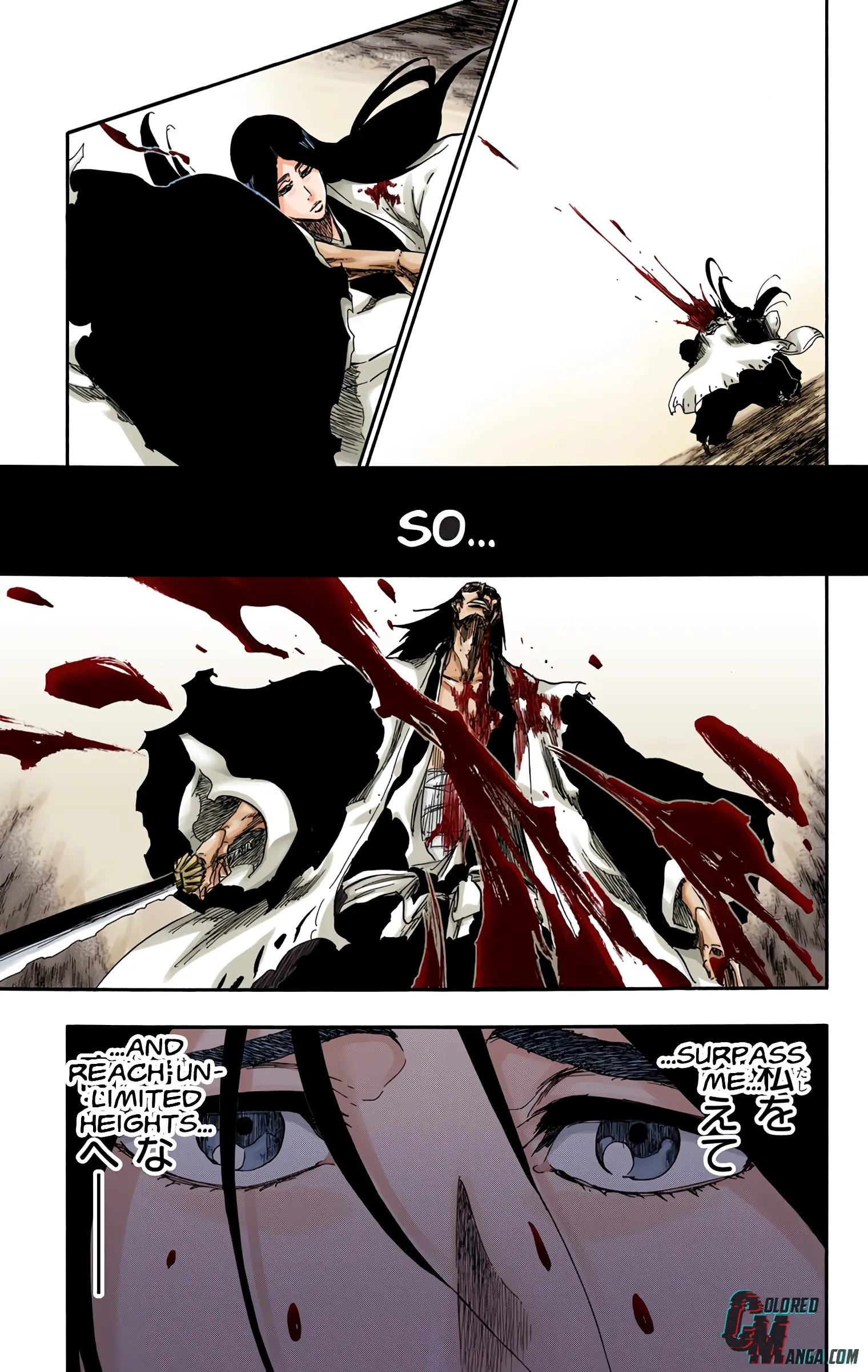 Read Bleach (Colored) EN Manga Online