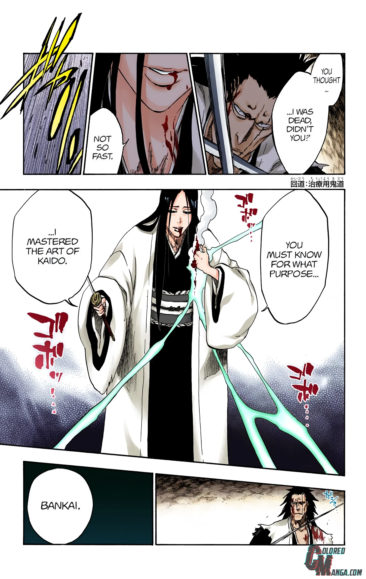Read Bleach (Colored) EN Manga Online