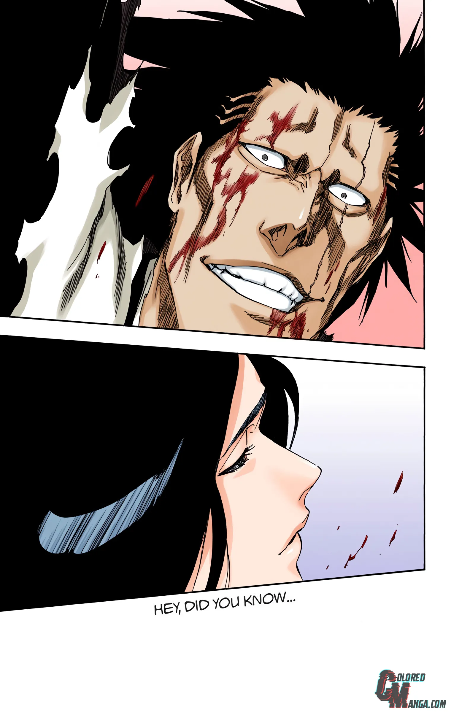 Read Bleach (Colored) EN Manga Online