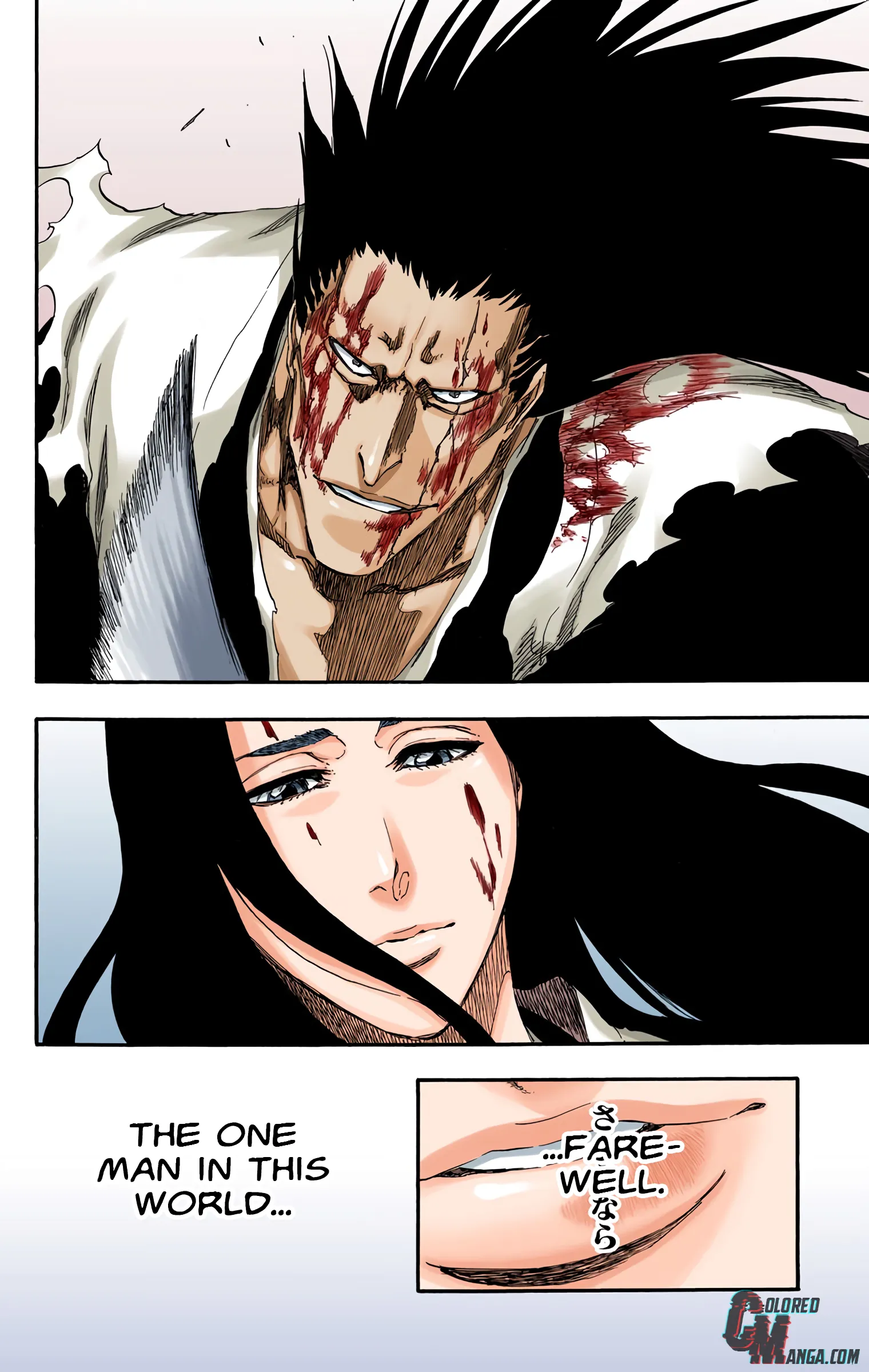 Read Bleach (Colored) EN Manga Online