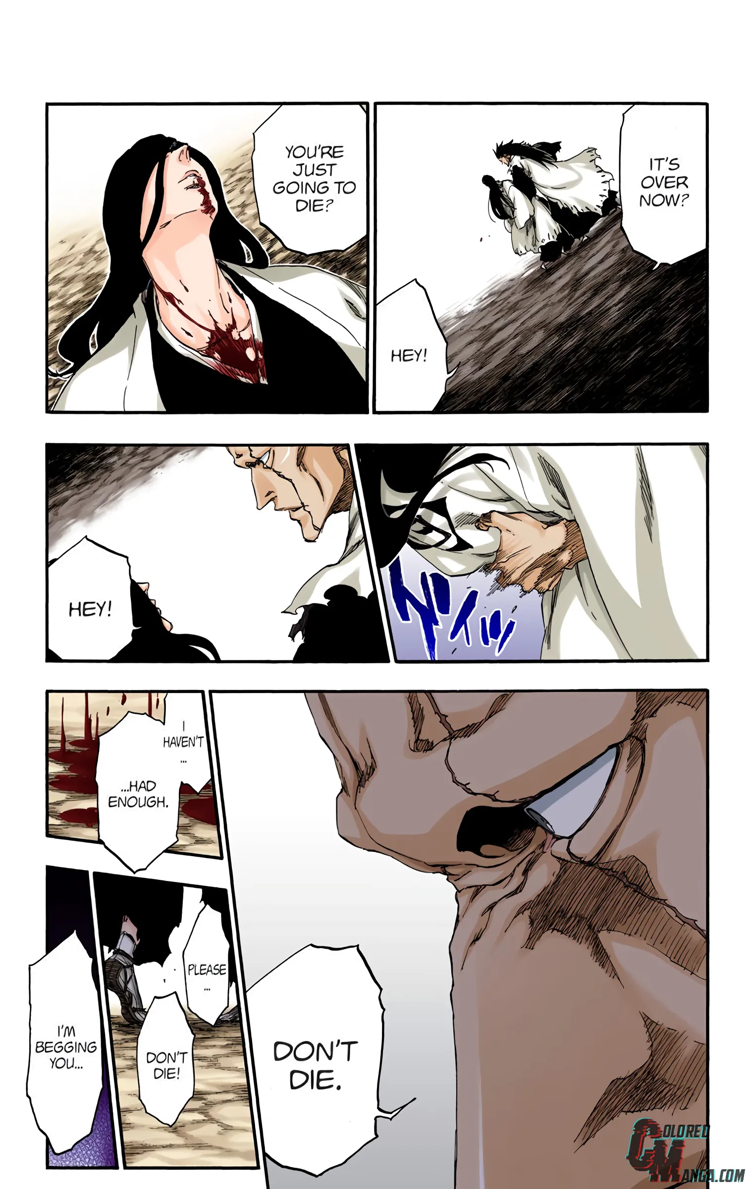 Read Bleach (Colored) EN Manga Online