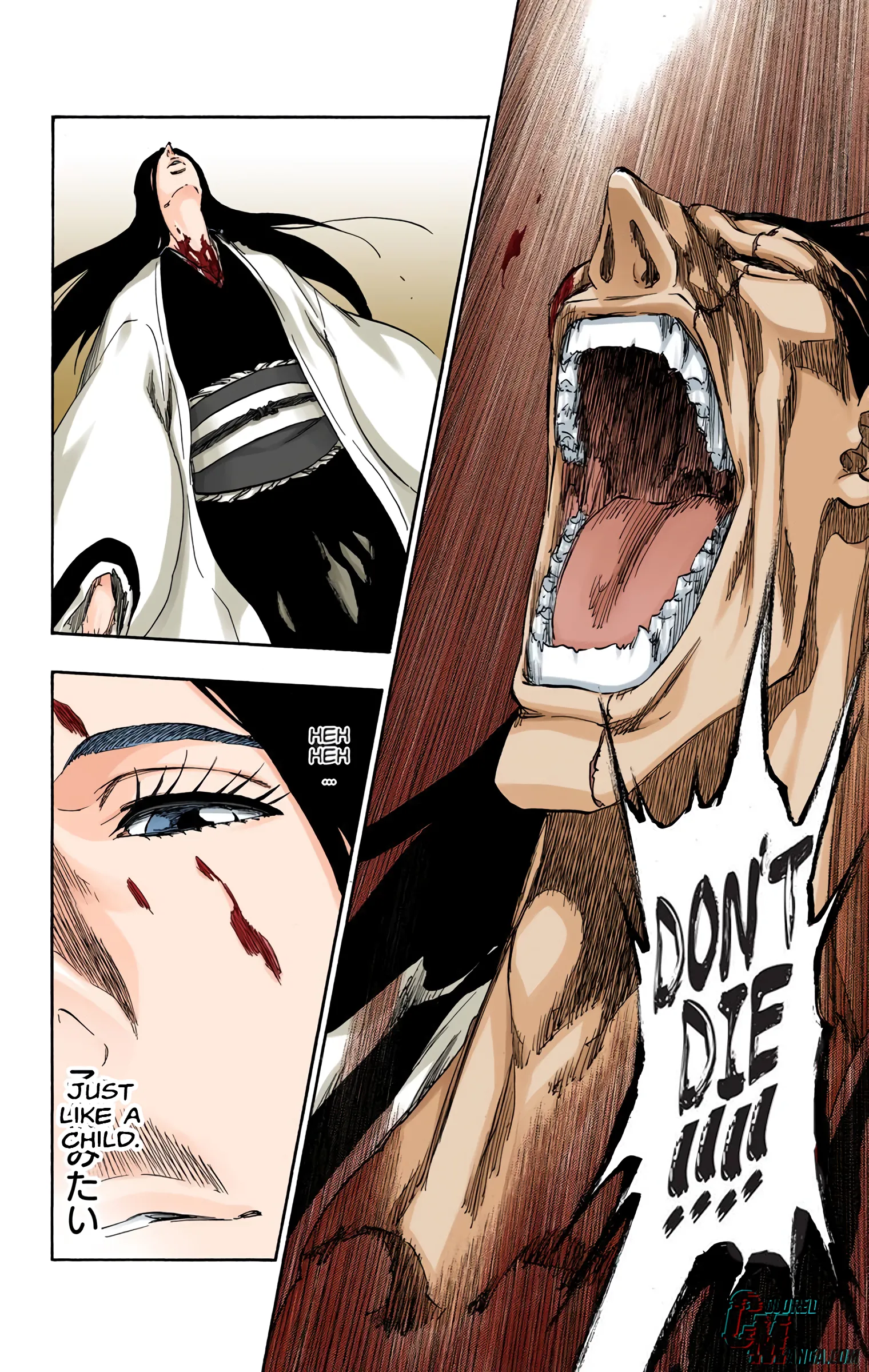 Read Bleach (Colored) EN Manga Online