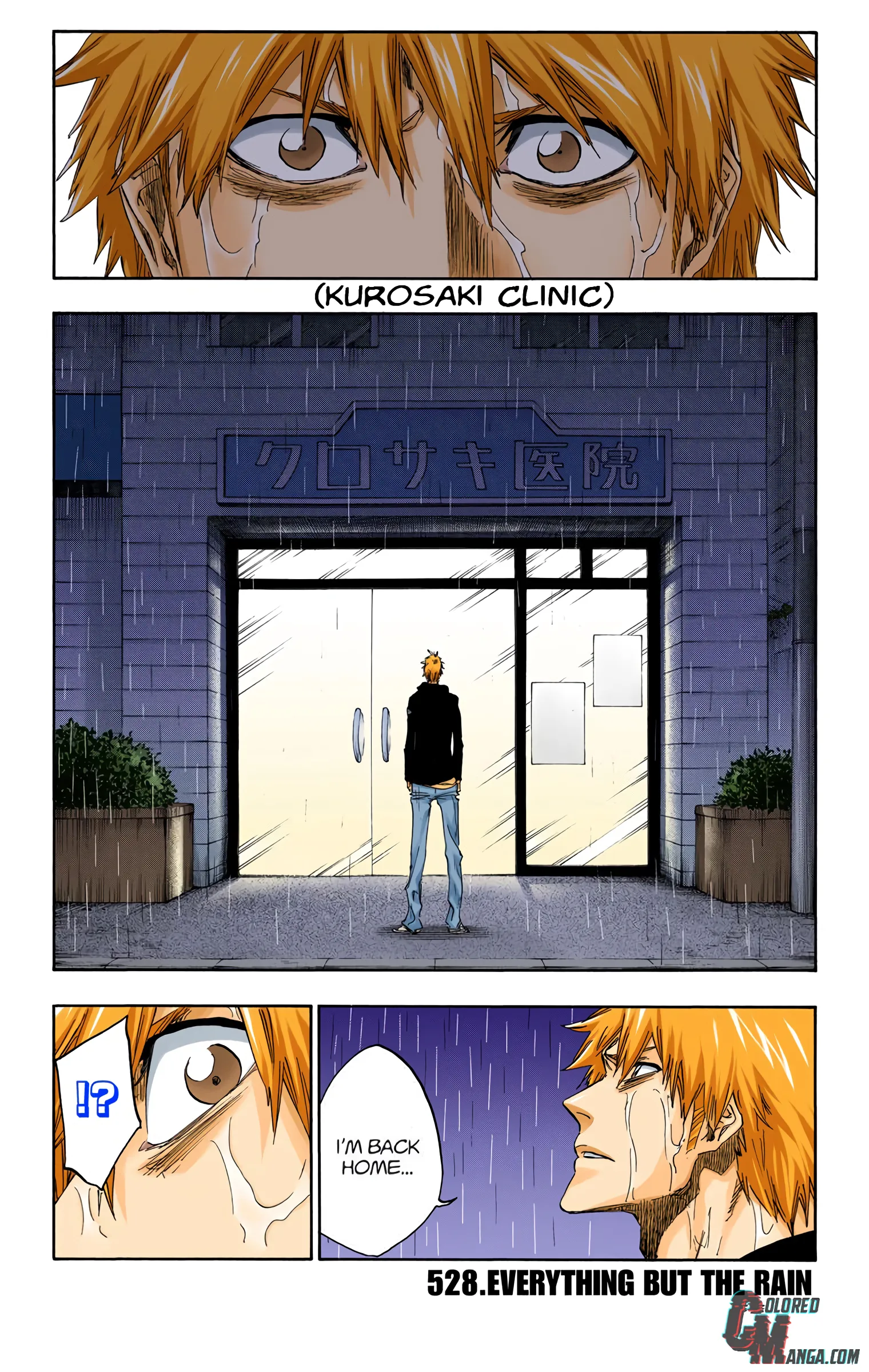 Read Bleach (Colored) EN Manga Online