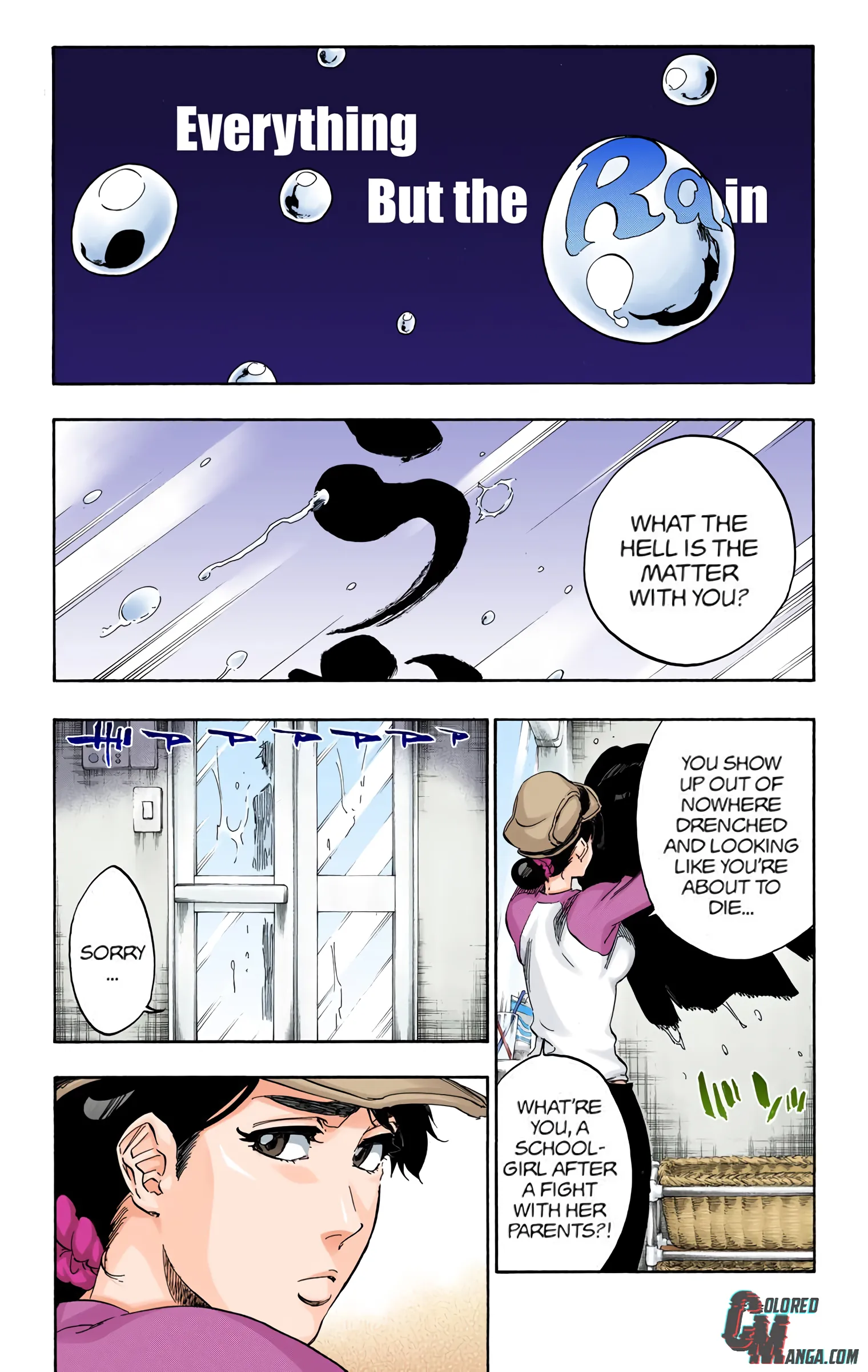 Read Bleach (Colored) EN Manga Online