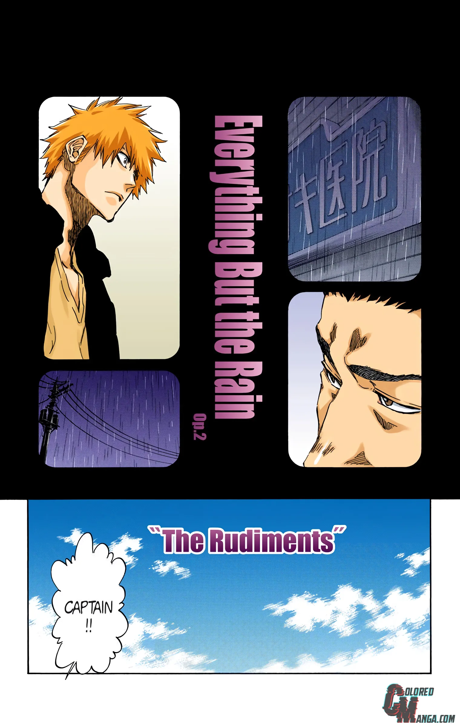 Read Bleach (Colored) EN Manga Online