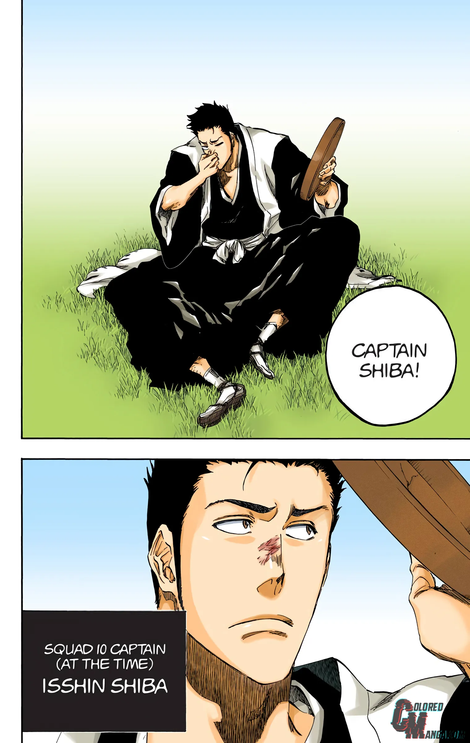 Read Bleach (Colored) EN Manga Online