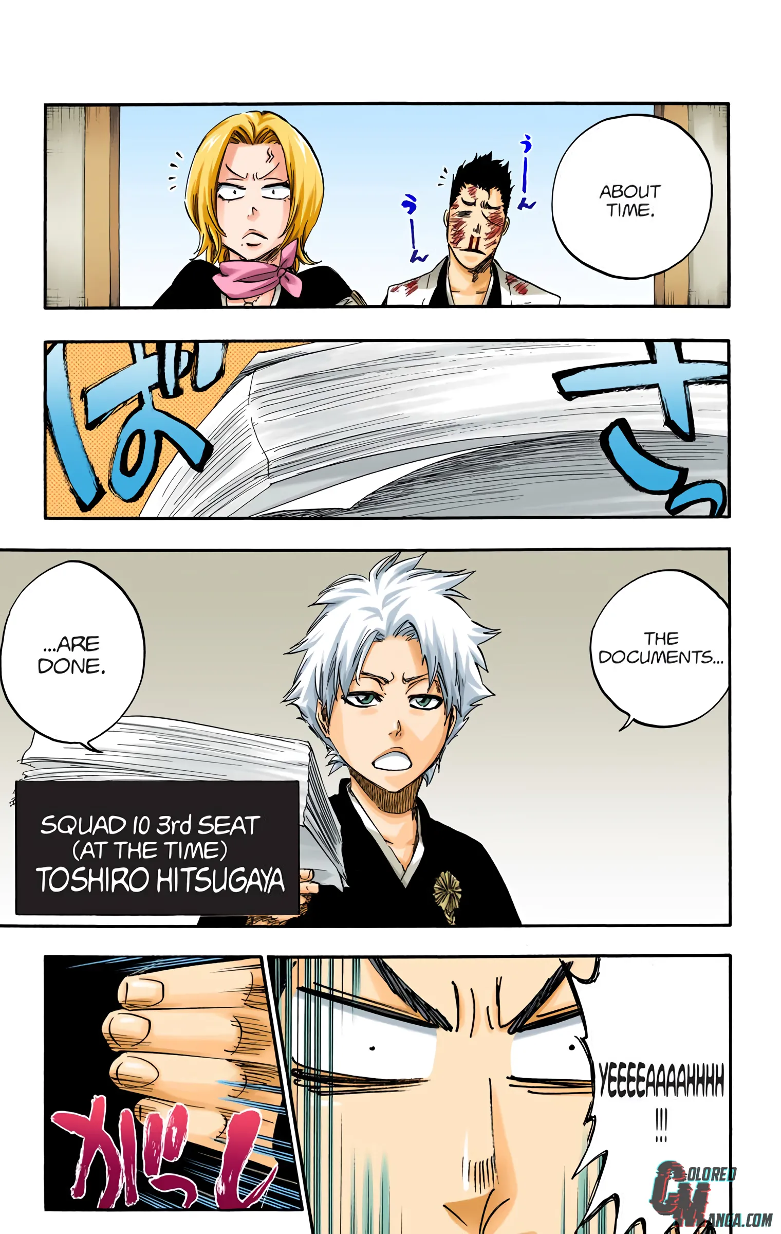 Read Bleach (Colored) EN Manga Online