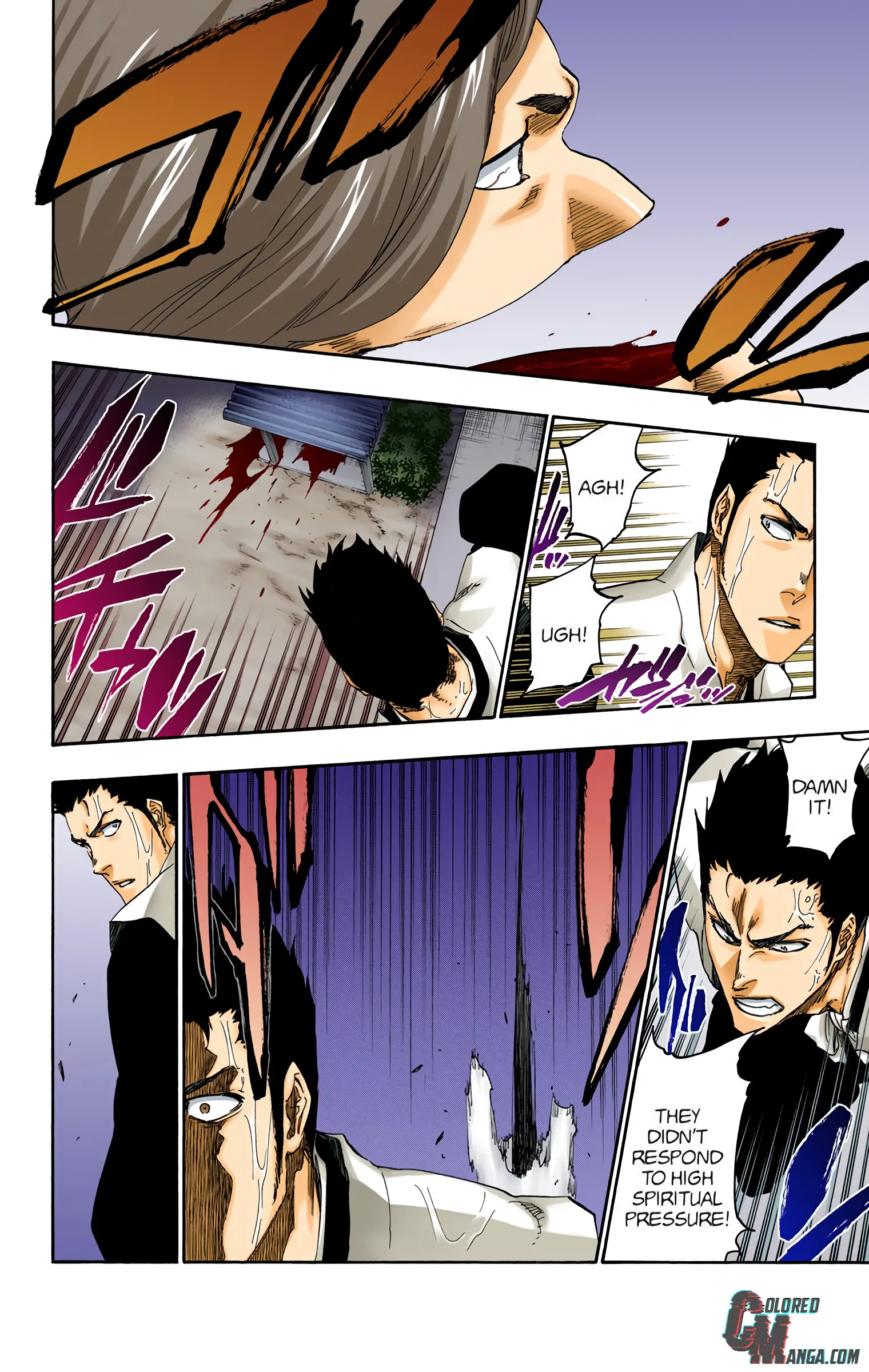 Read Bleach (Colored) EN Manga Online