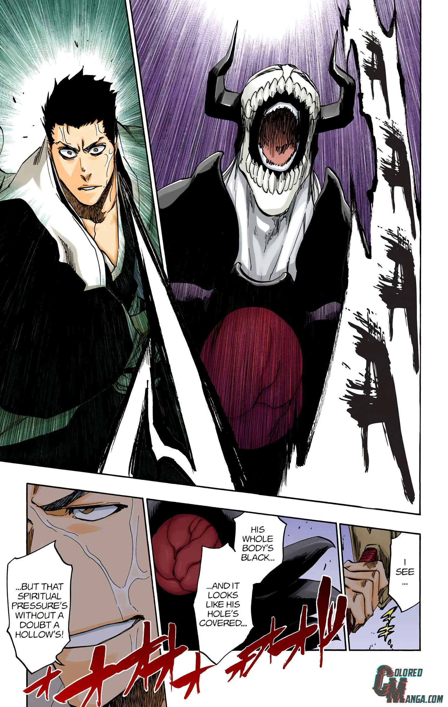 Read Bleach (Colored) EN Manga Online