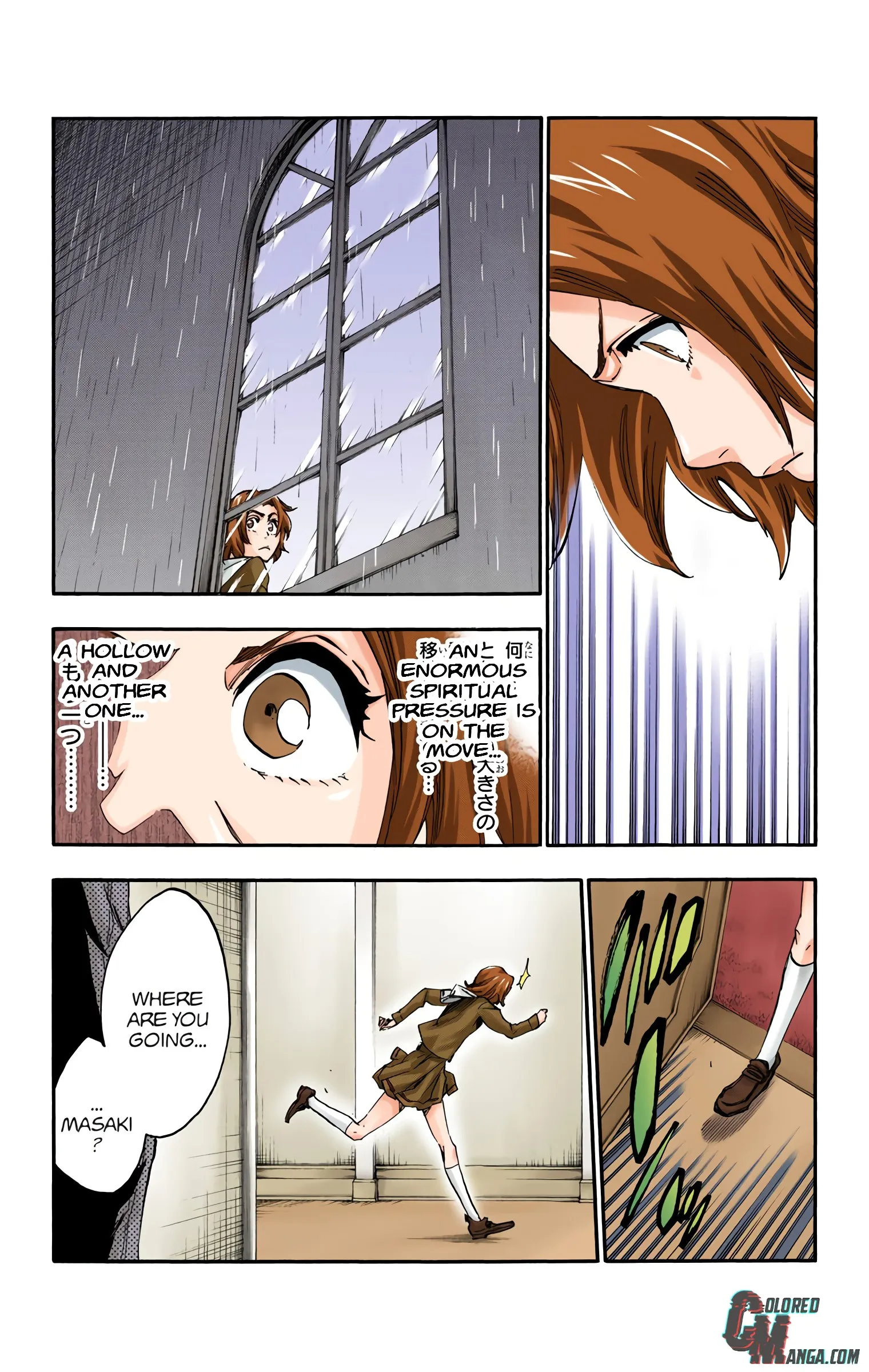 Read Bleach (Colored) EN Manga Online