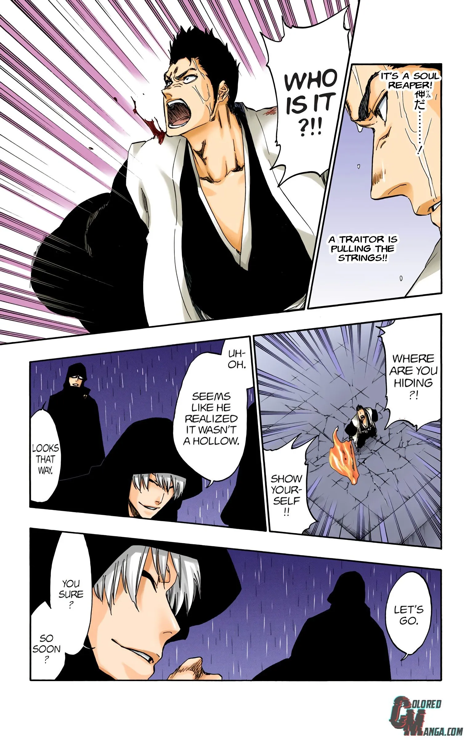 Read Bleach (Colored) EN Manga Online
