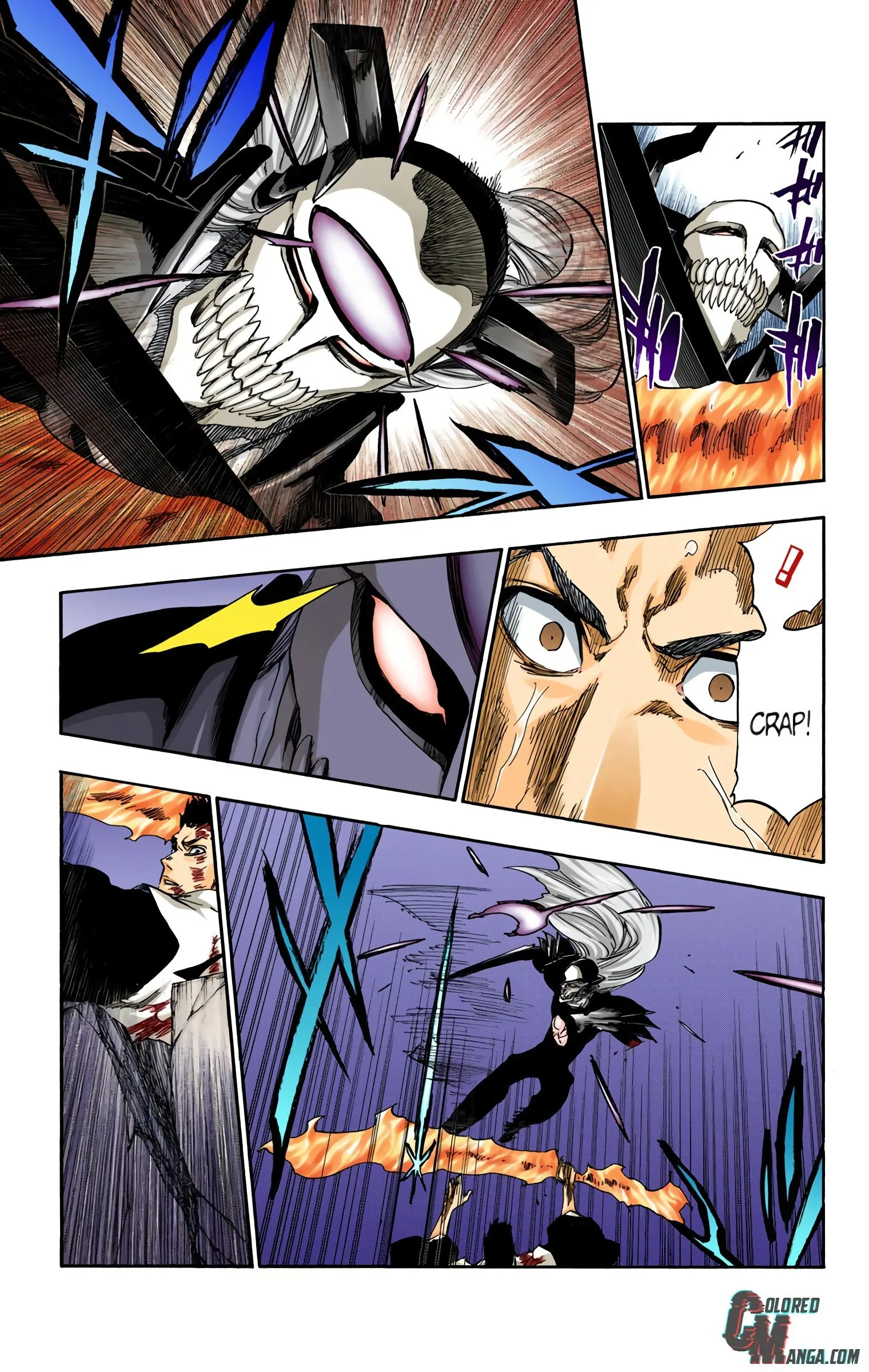 Read Bleach (Colored) EN Manga Online
