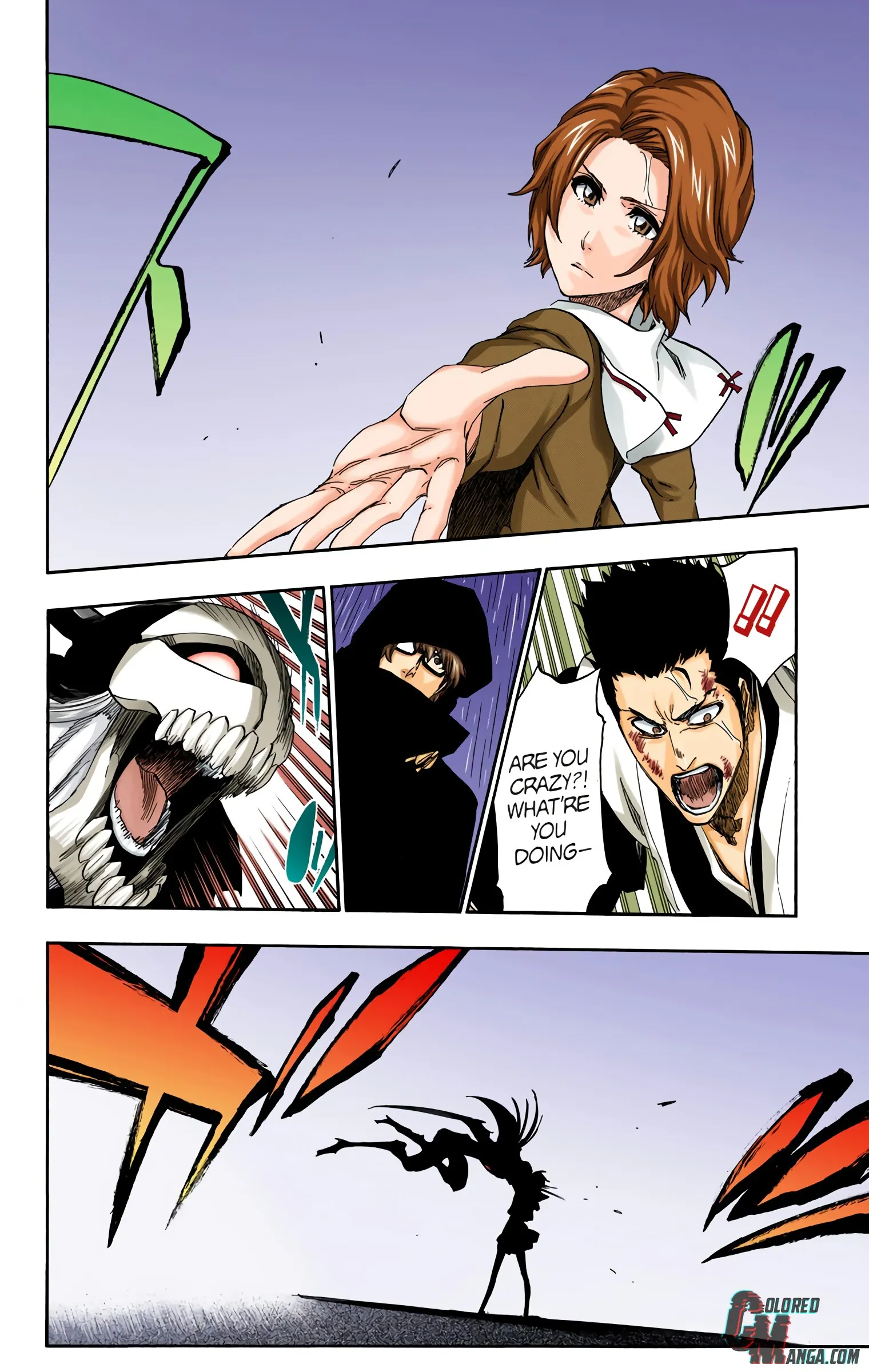 Read Bleach (Colored) EN Manga Online