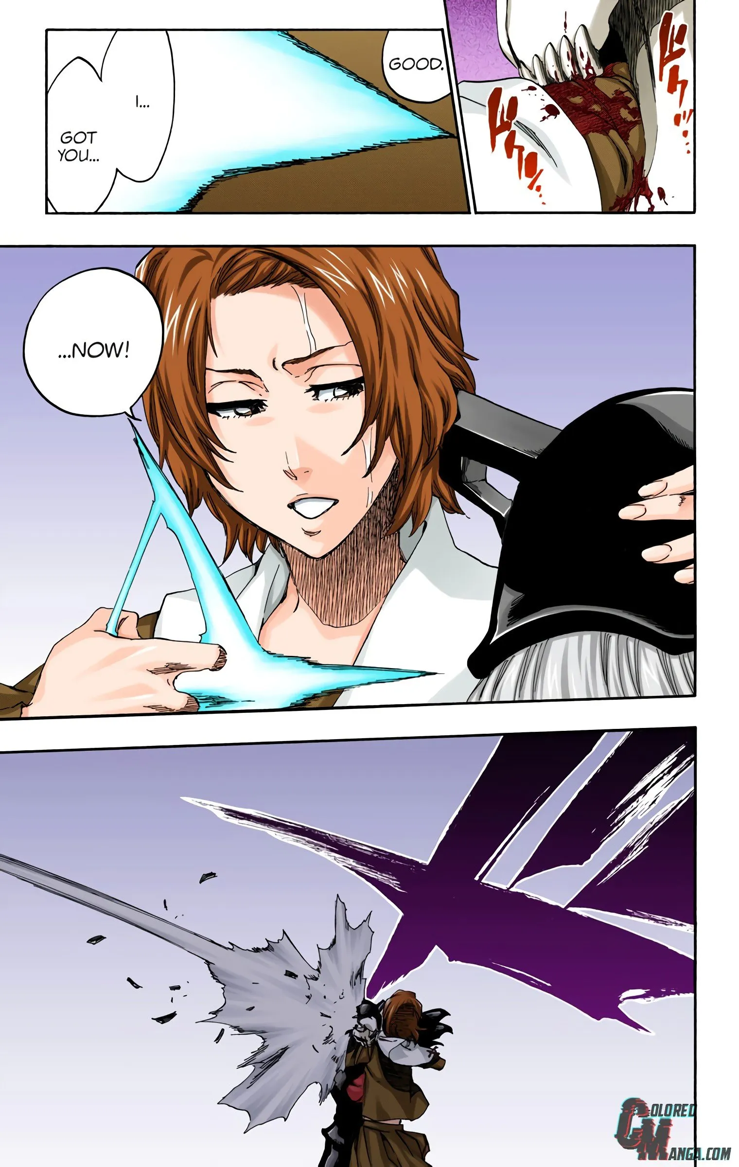 Read Bleach (Colored) EN Manga Online