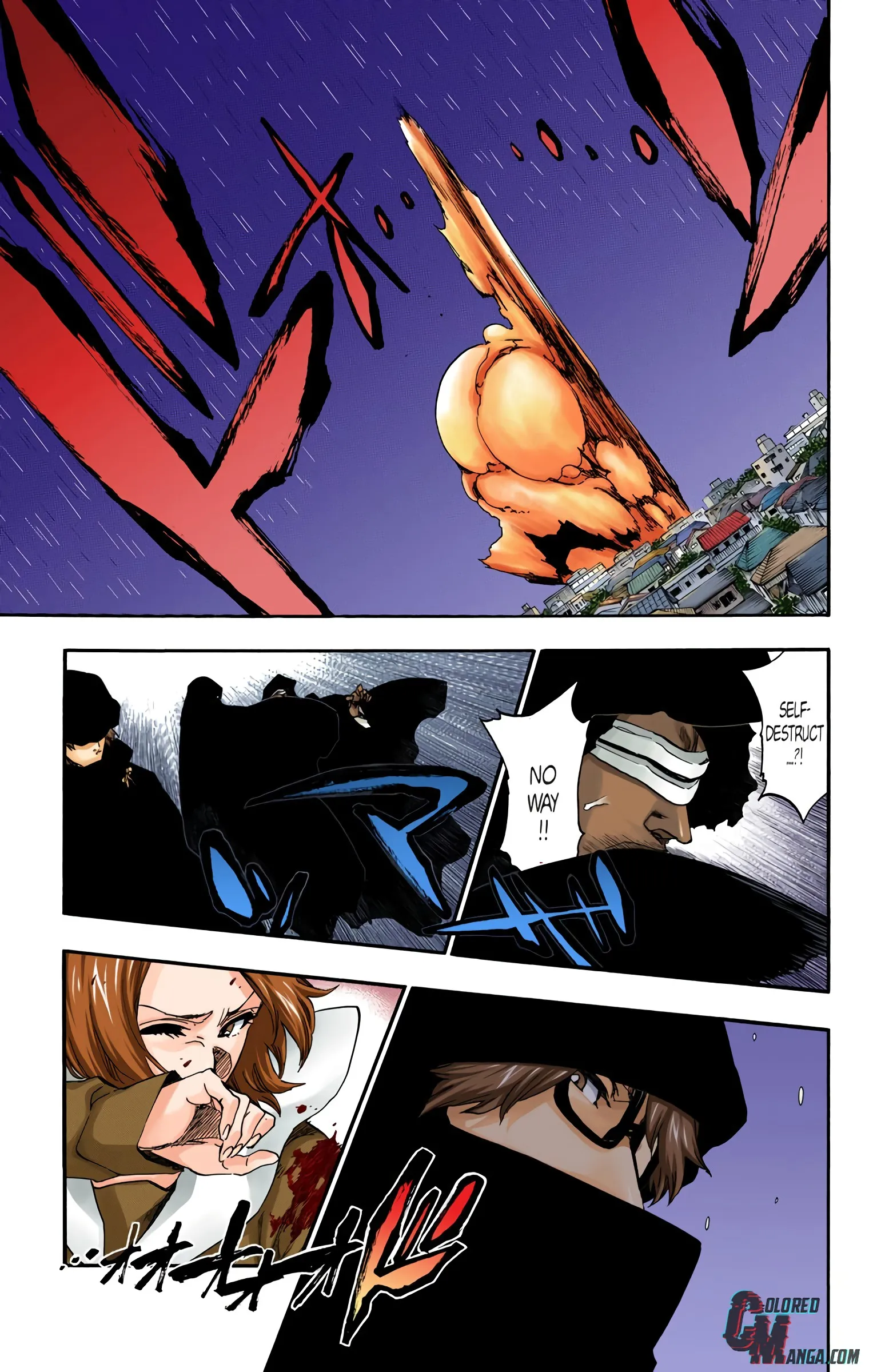 Read Bleach (Colored) EN Manga Online