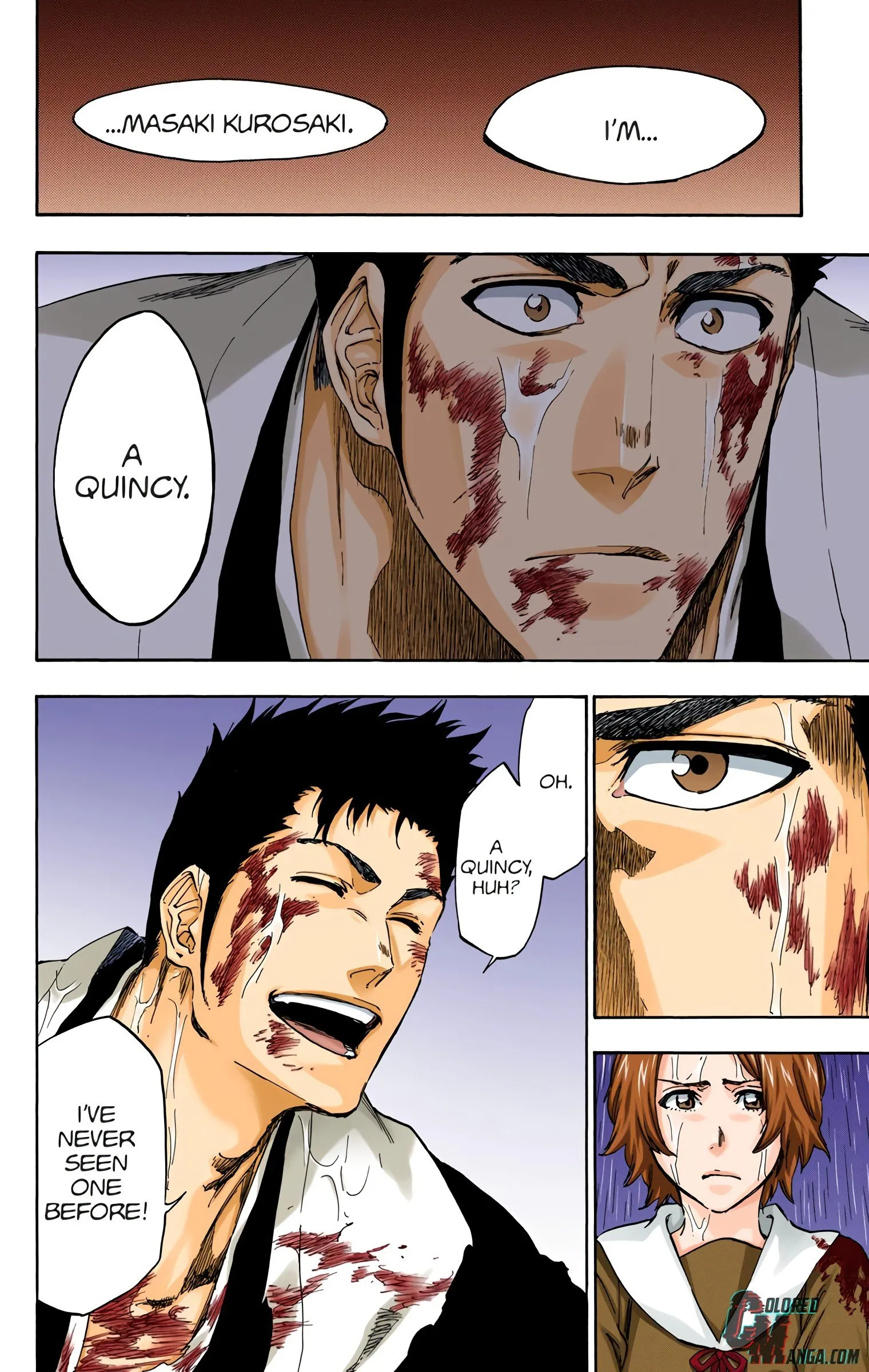 Read Bleach (Colored) EN Manga Online