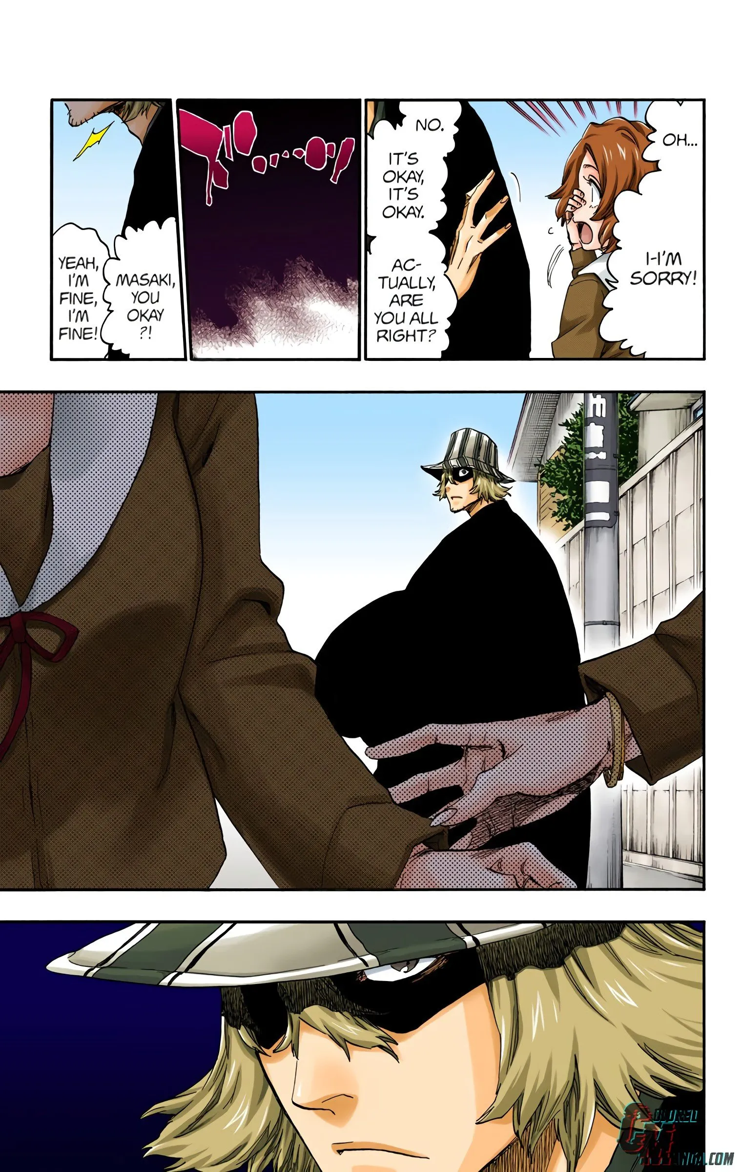 Read Bleach (Colored) EN Manga Online