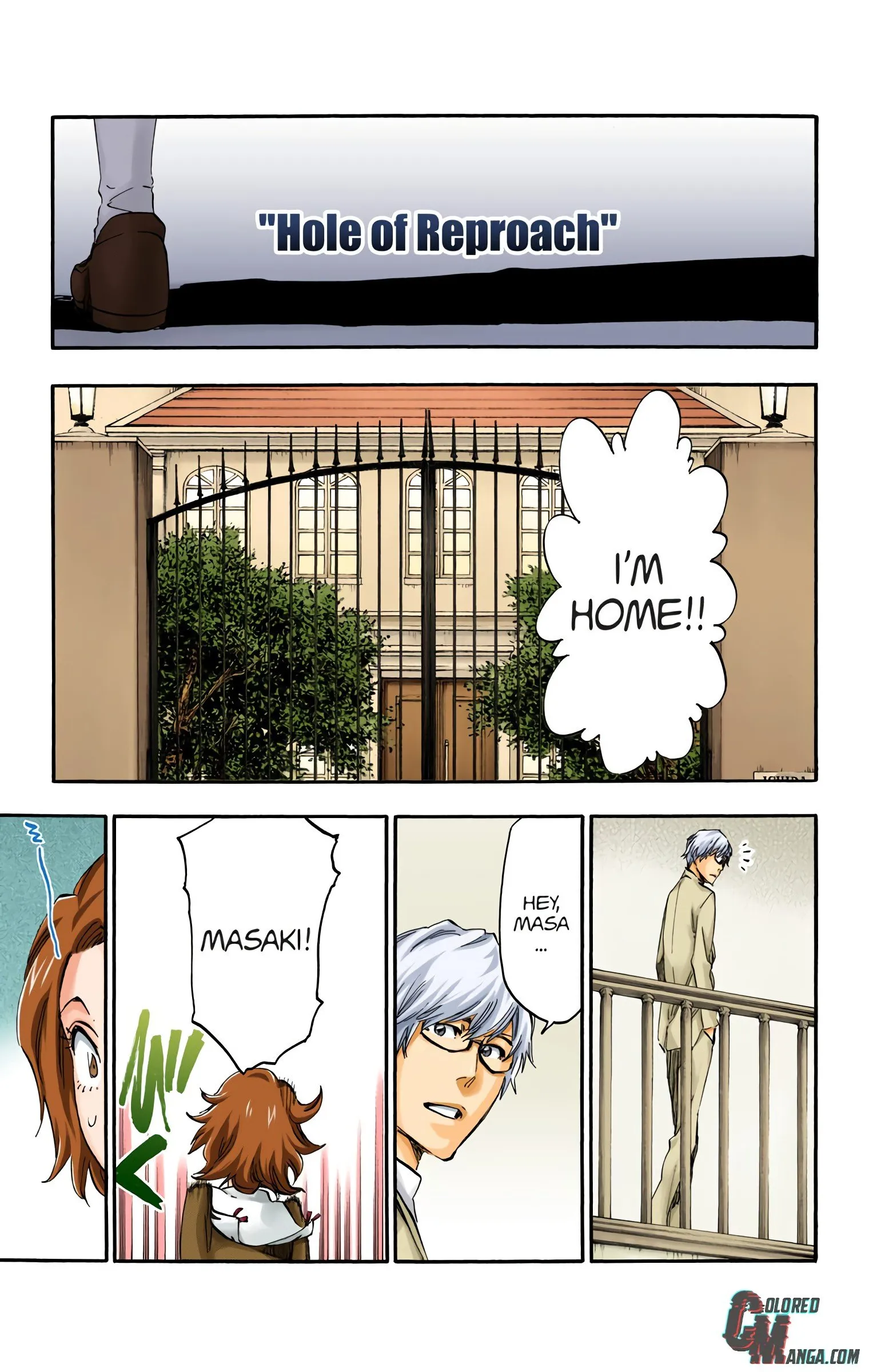 Read Bleach (Colored) EN Manga Online