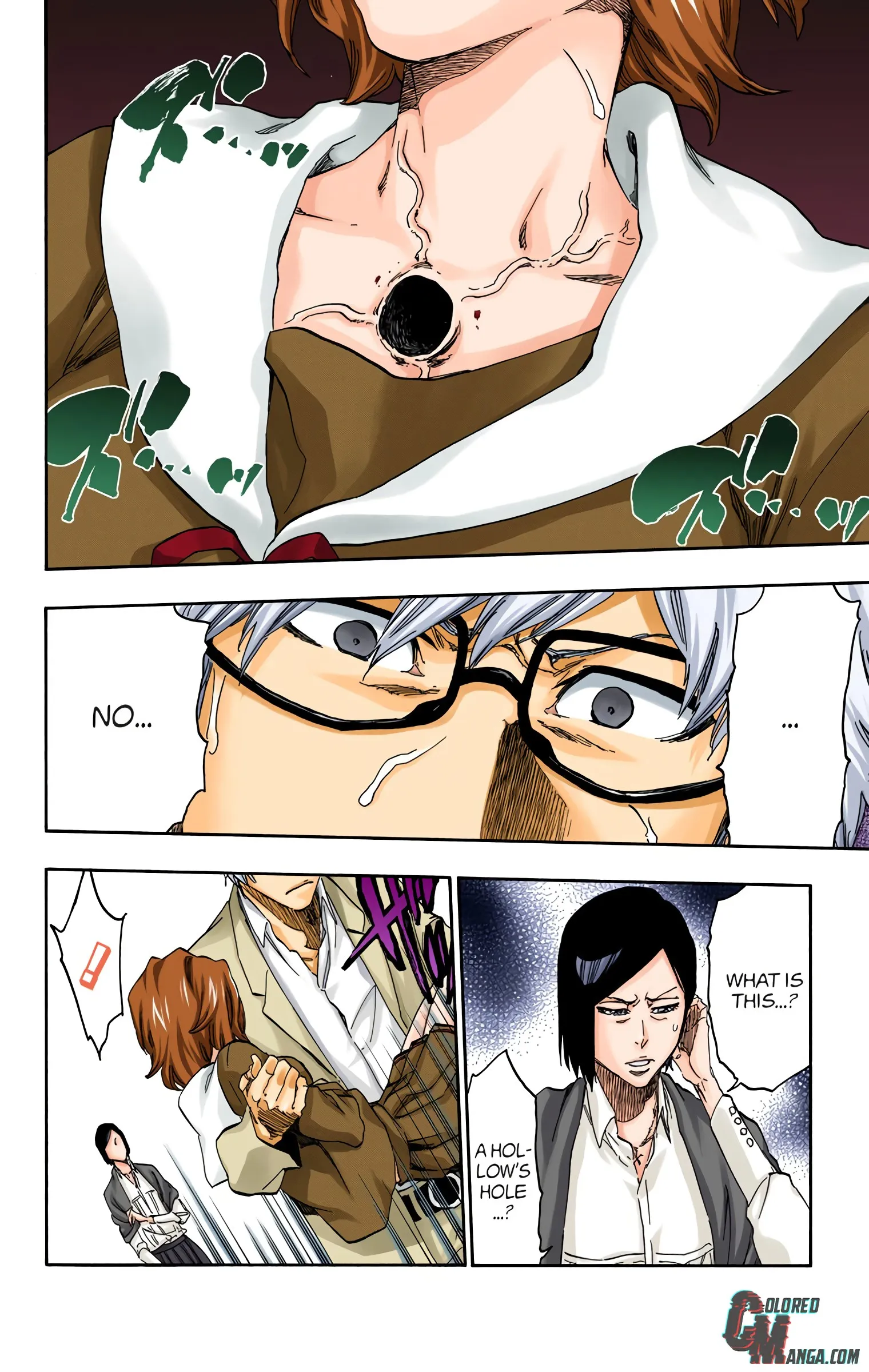 Read Bleach (Colored) EN Manga Online