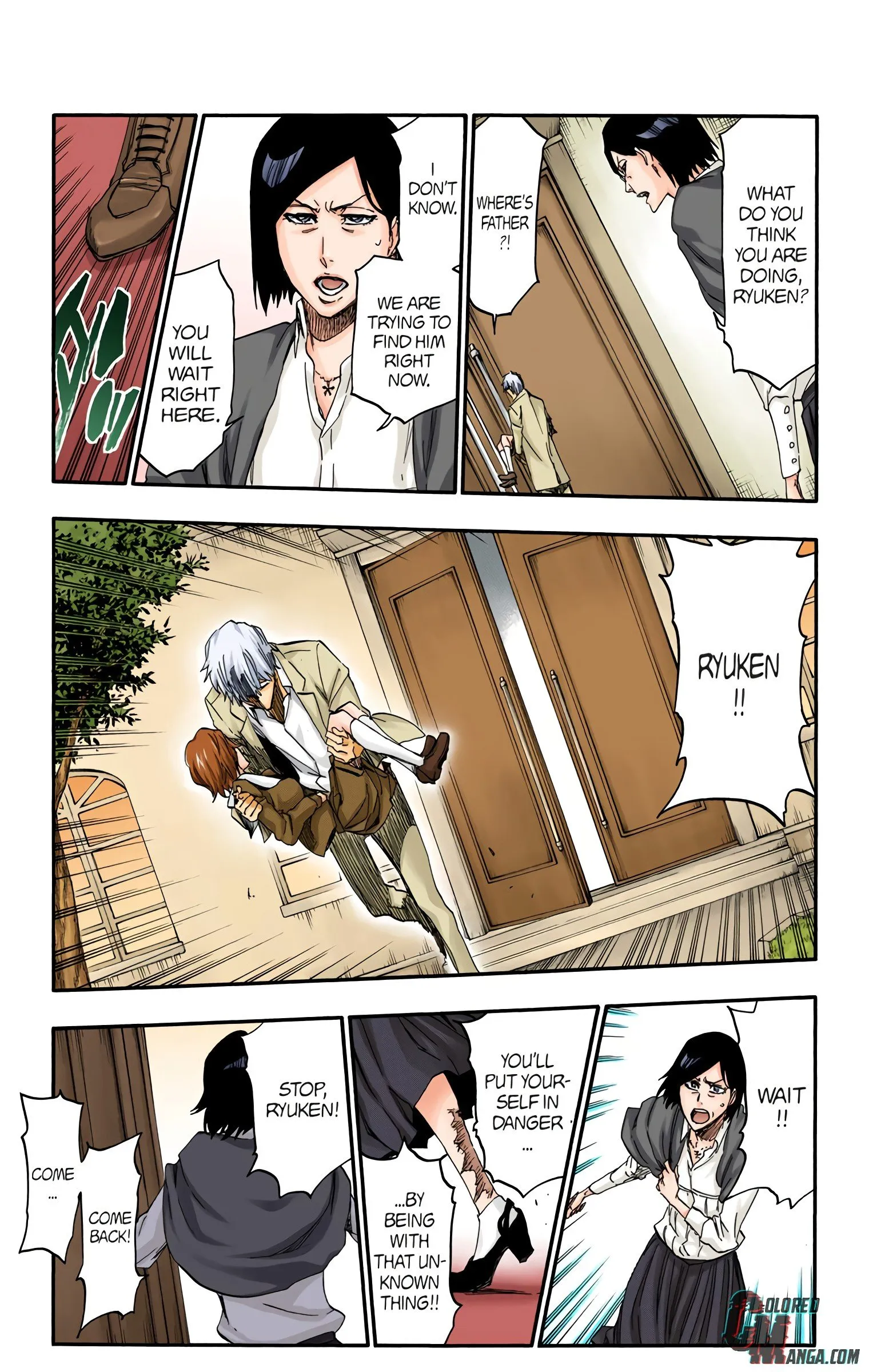 Read Bleach (Colored) EN Manga Online