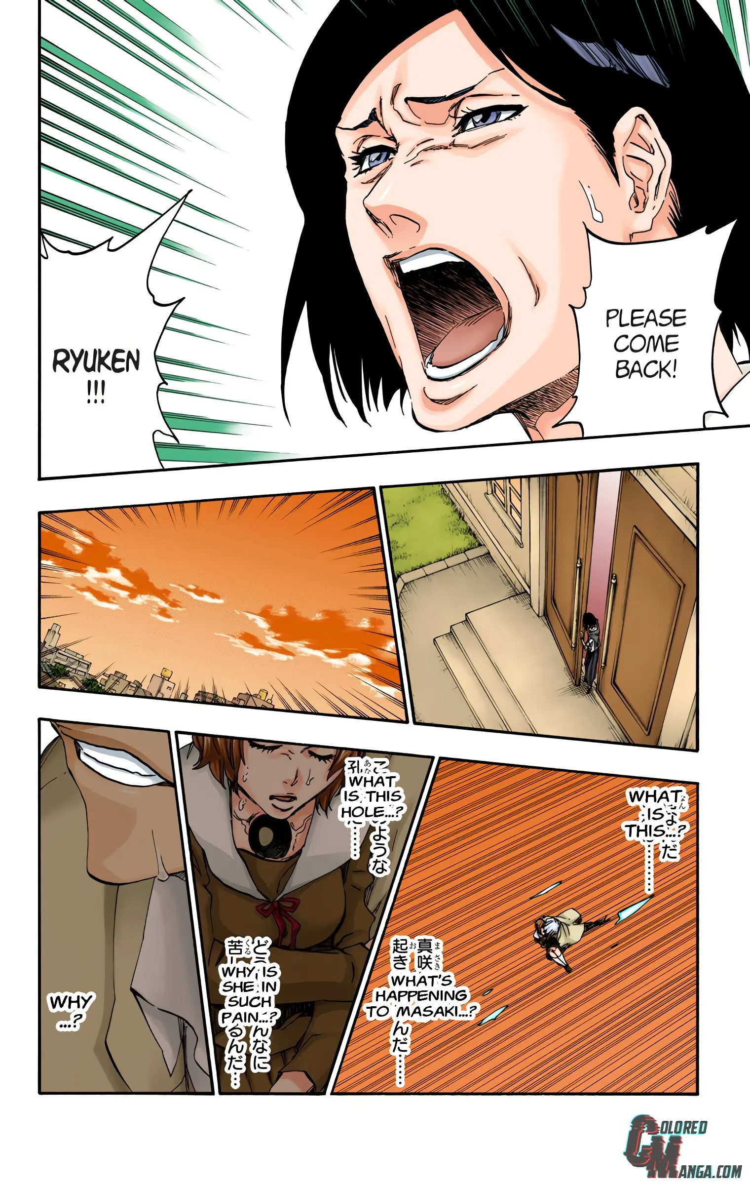 Read Bleach (Colored) EN Manga Online