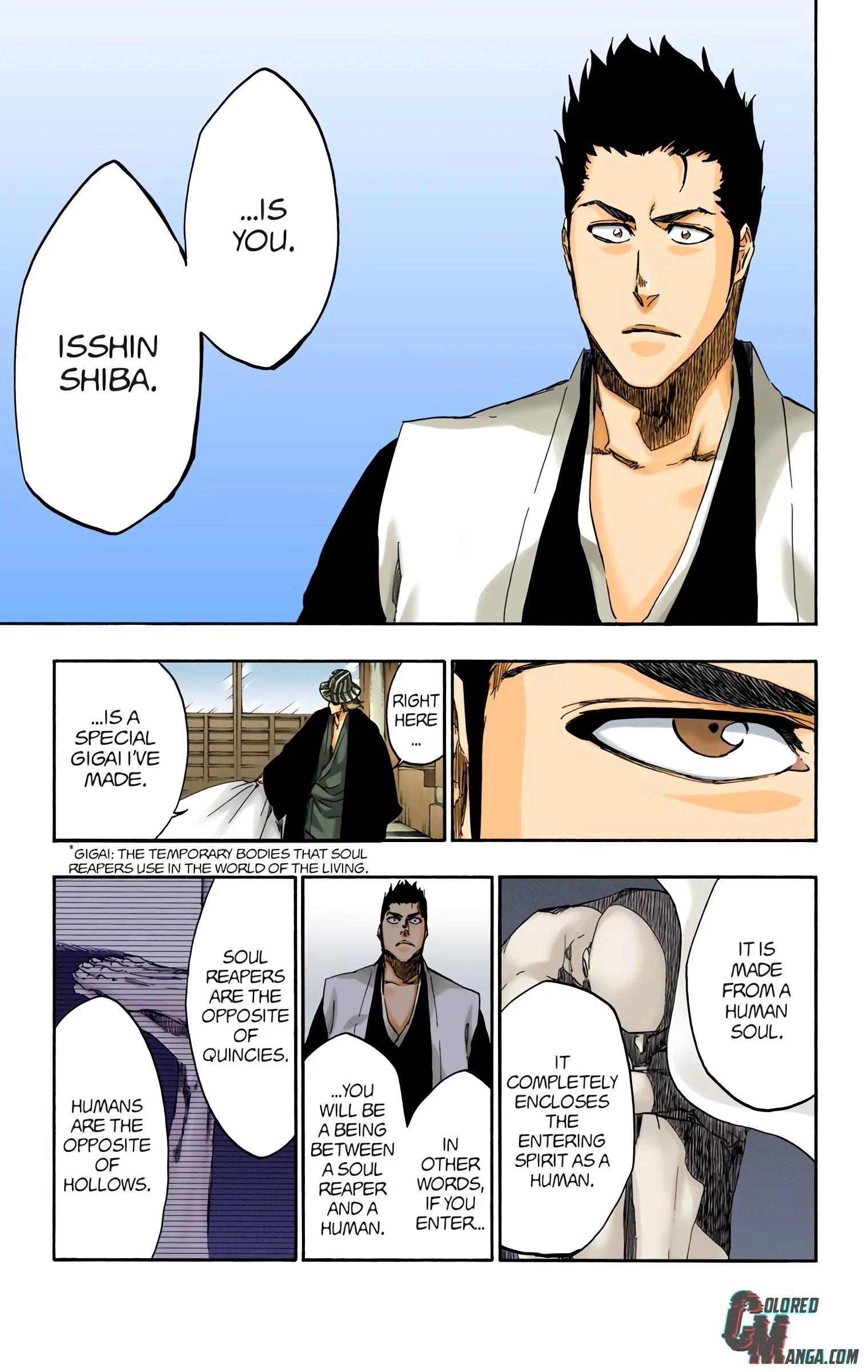 Read Bleach (Colored) EN Manga Online
