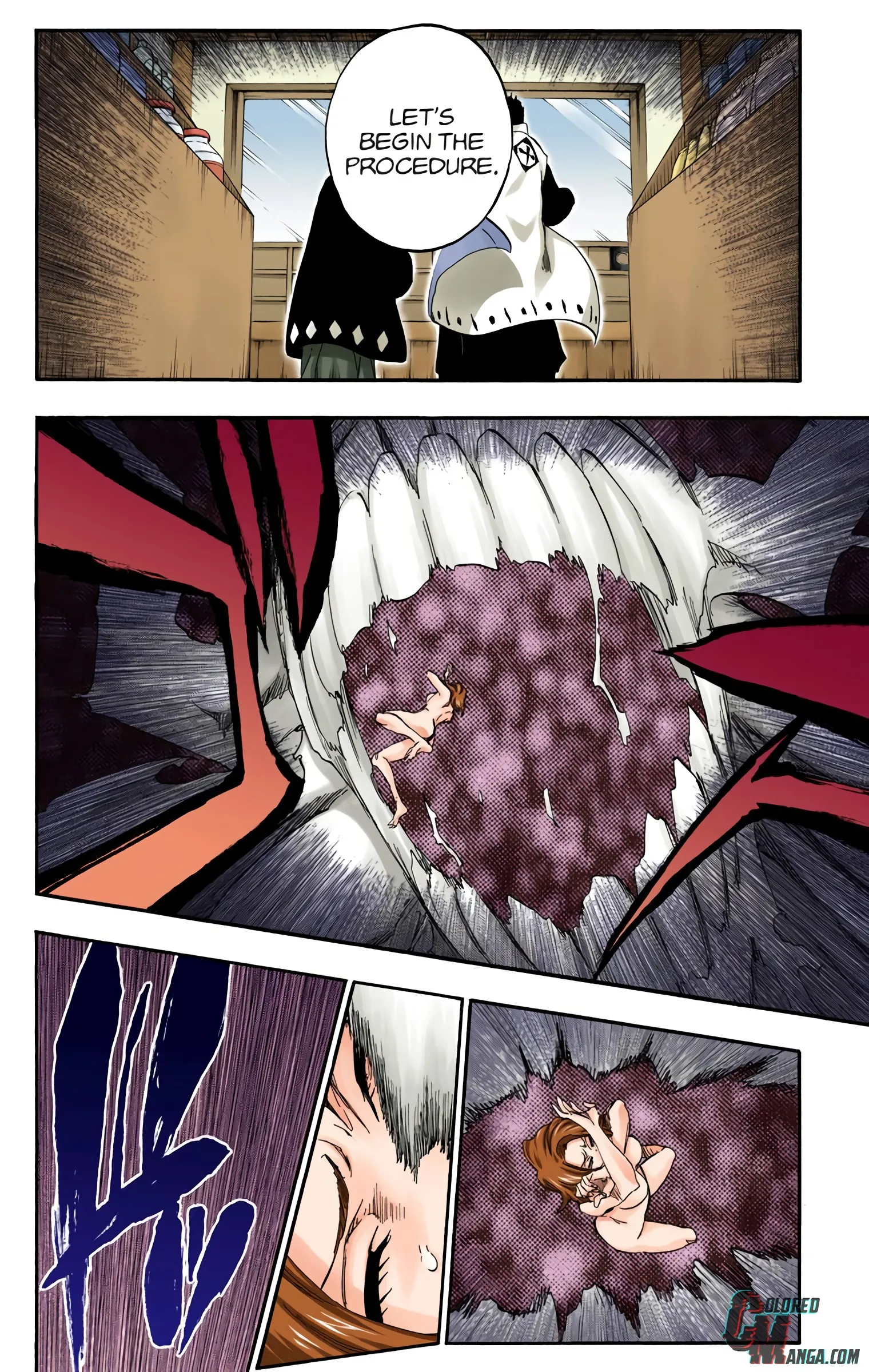 Read Bleach (Colored) EN Manga Online