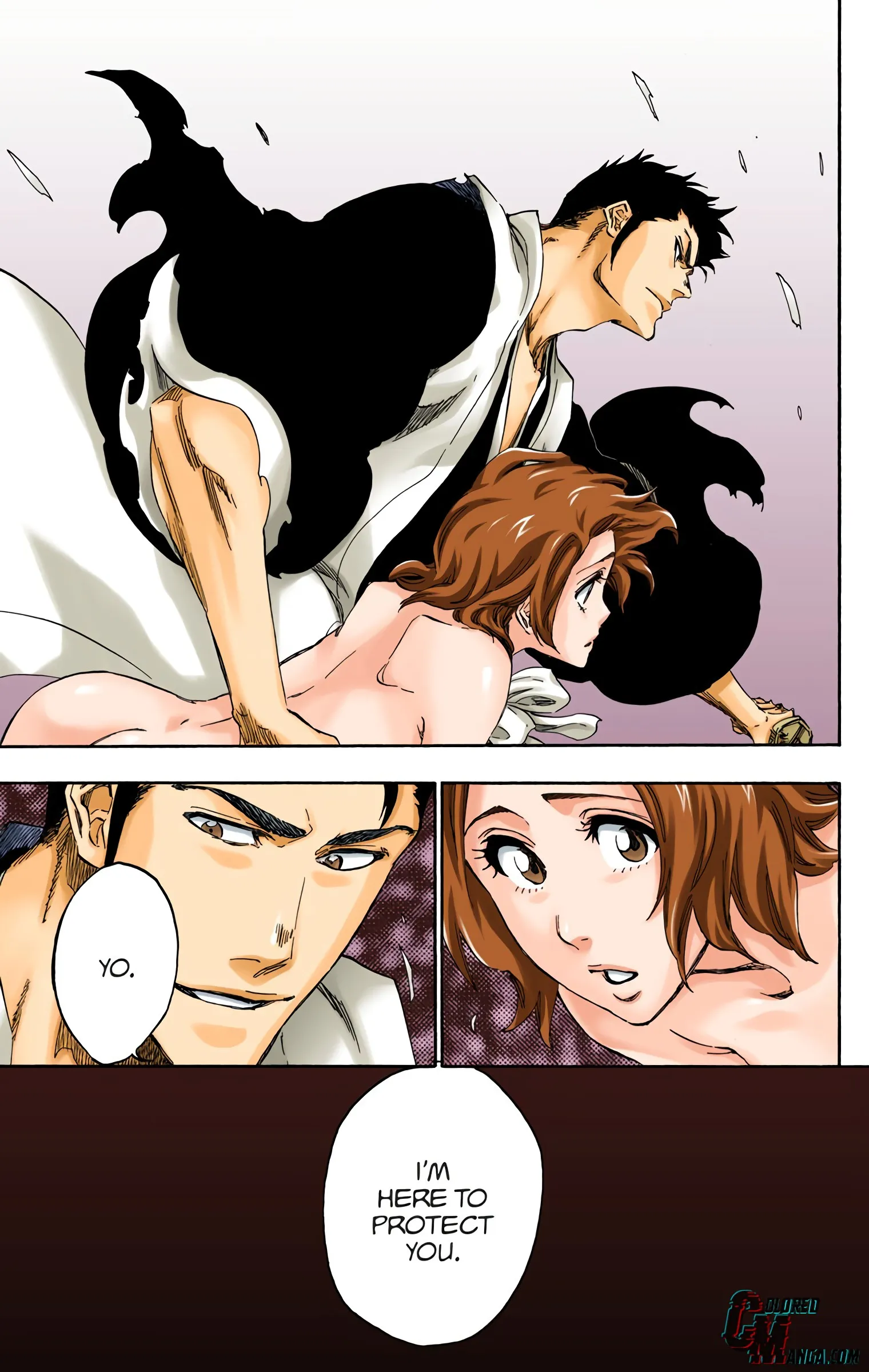 Read Bleach (Colored) EN Manga Online