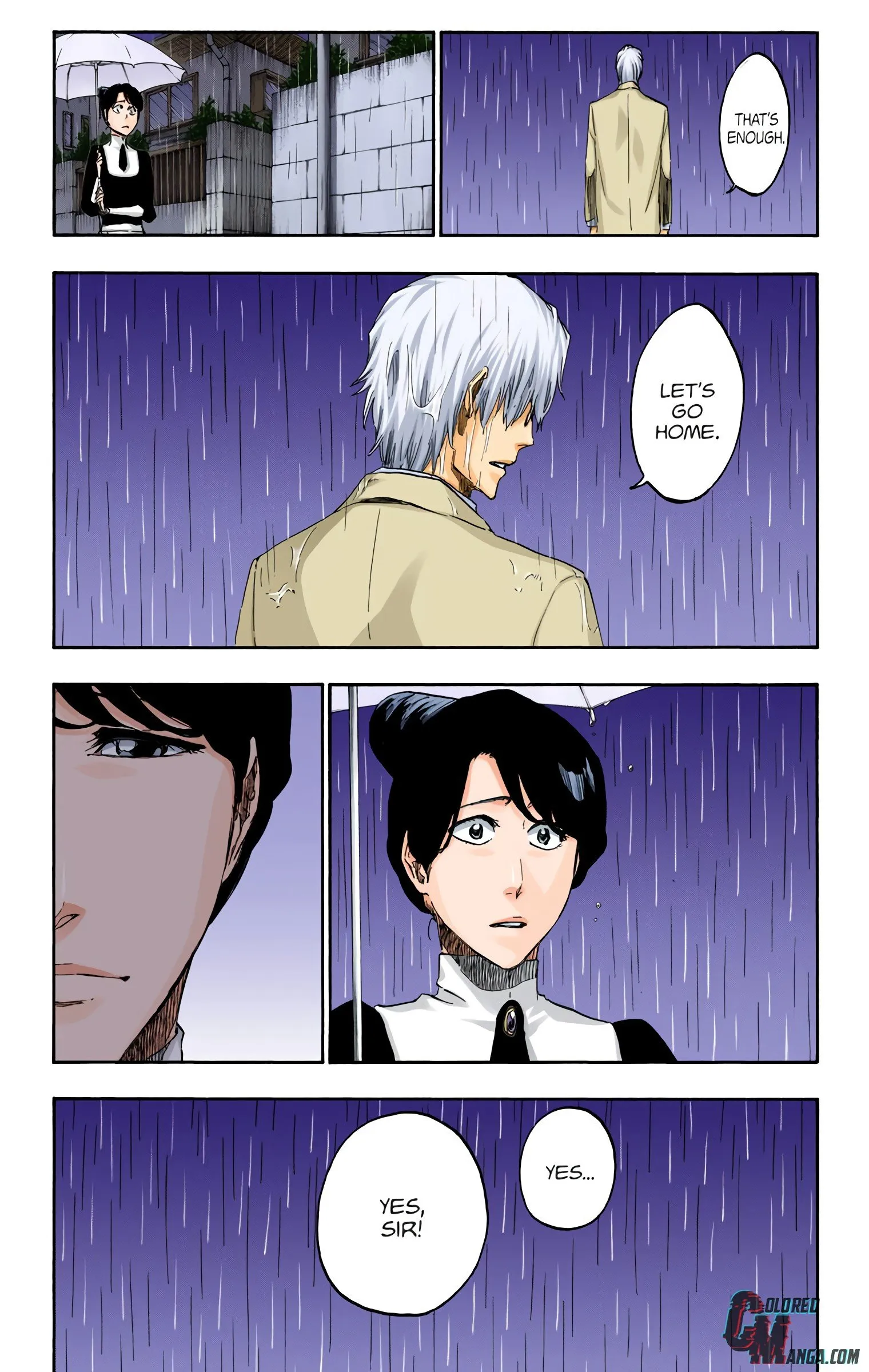 Read Bleach (Colored) EN Manga Online