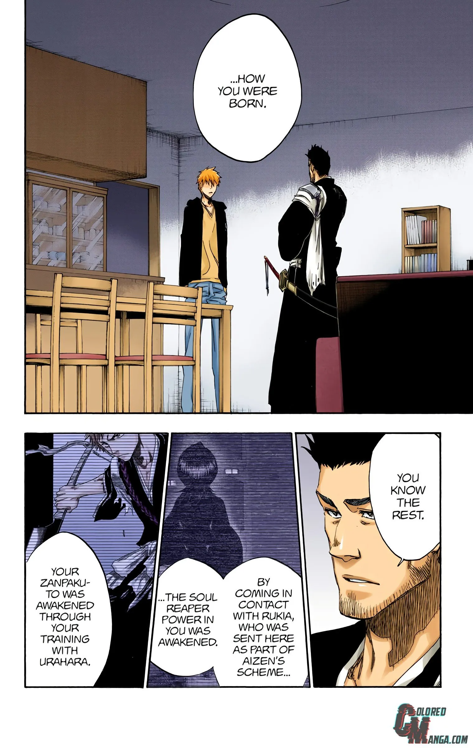 Read Bleach (Colored) EN Manga Online