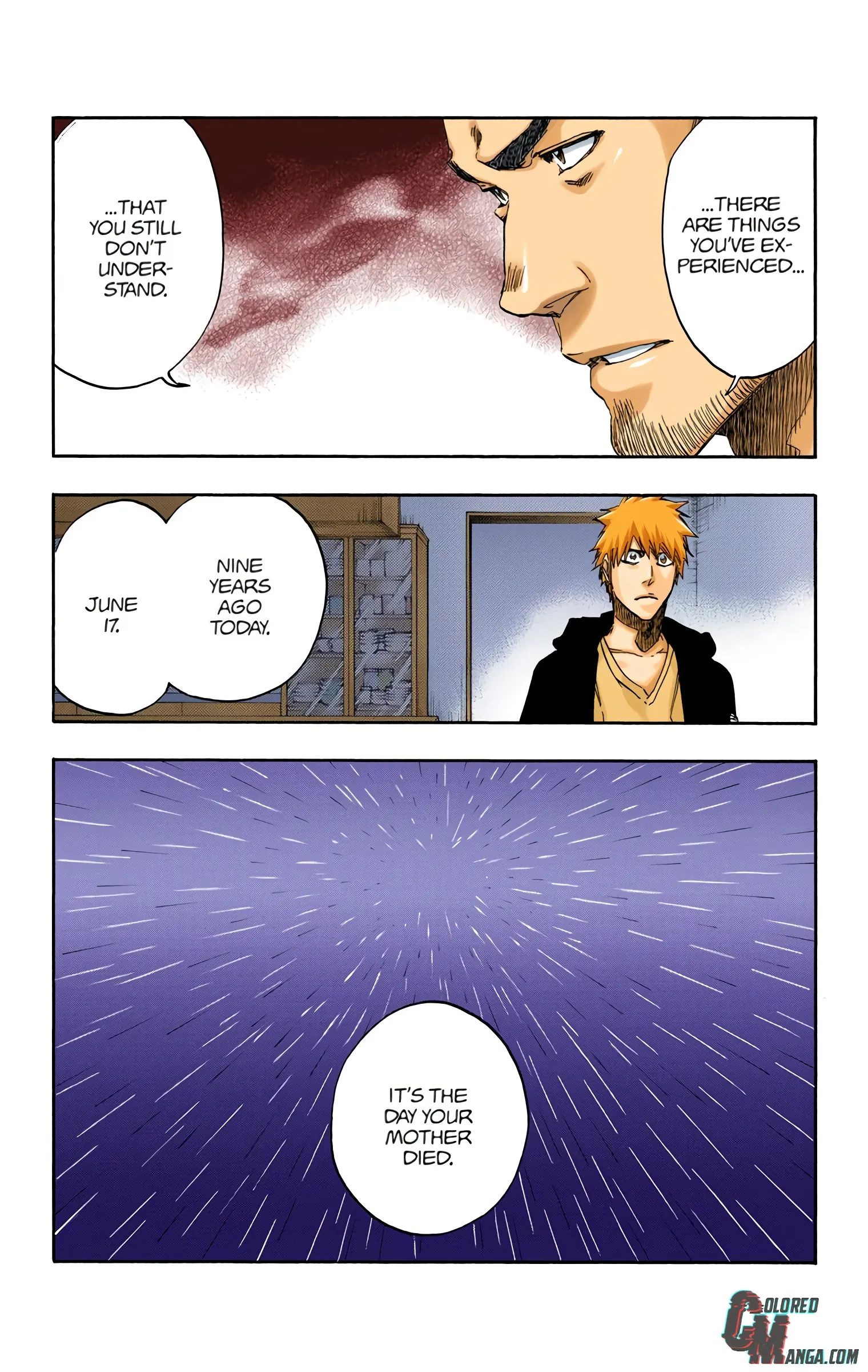 Read Bleach (Colored) EN Manga Online