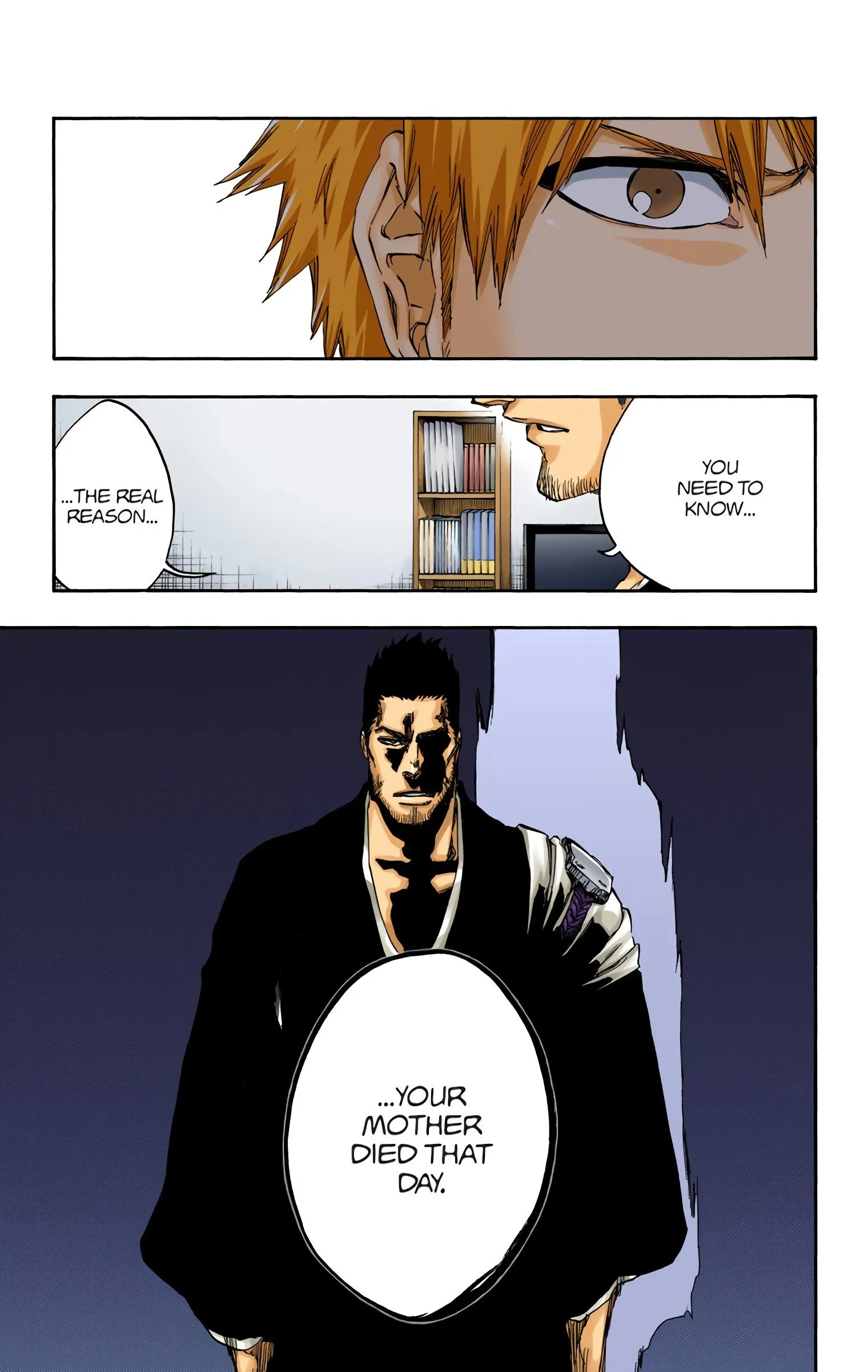 Read Bleach (Colored) EN Manga Online