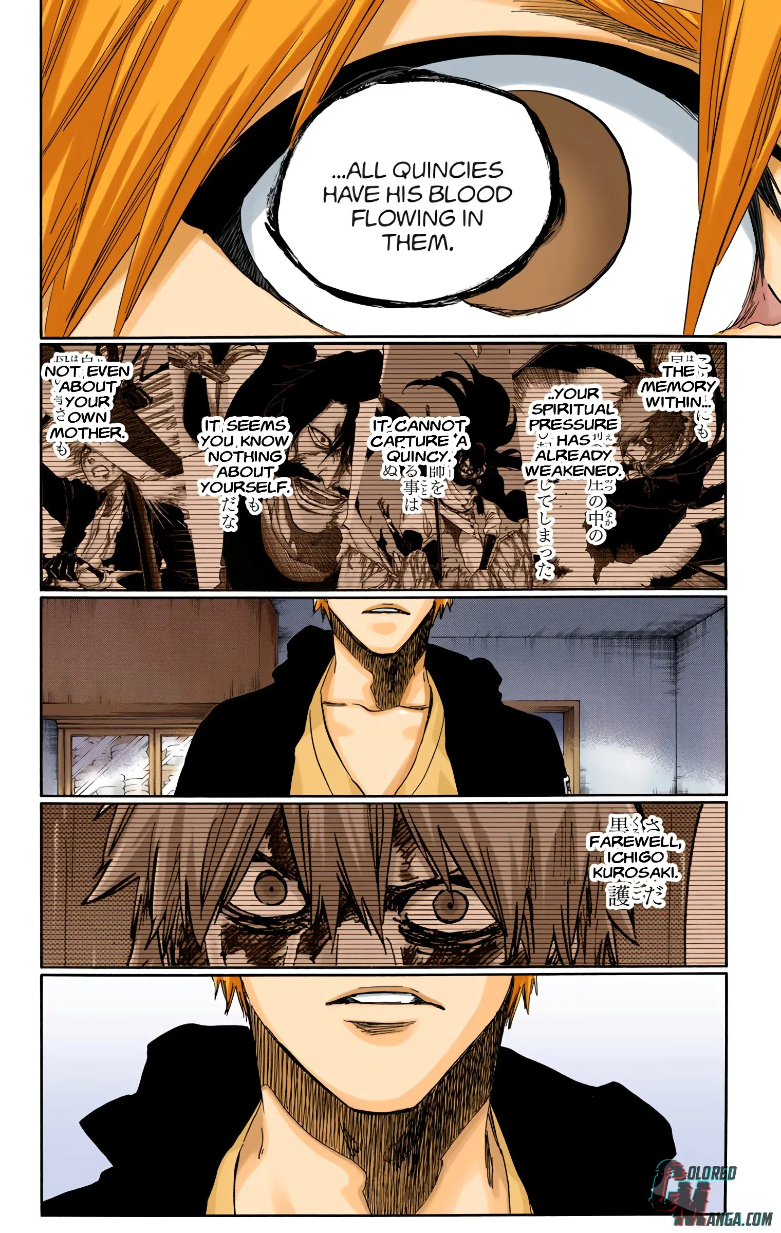 Read Bleach (Colored) EN Manga Online