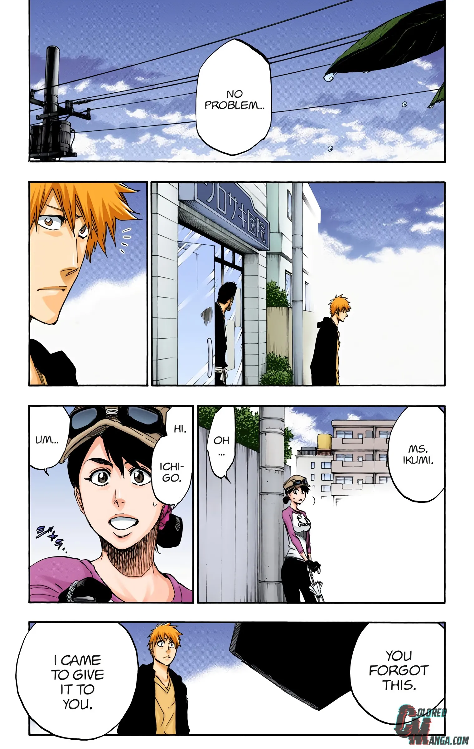 Read Bleach (Colored) EN Manga Online
