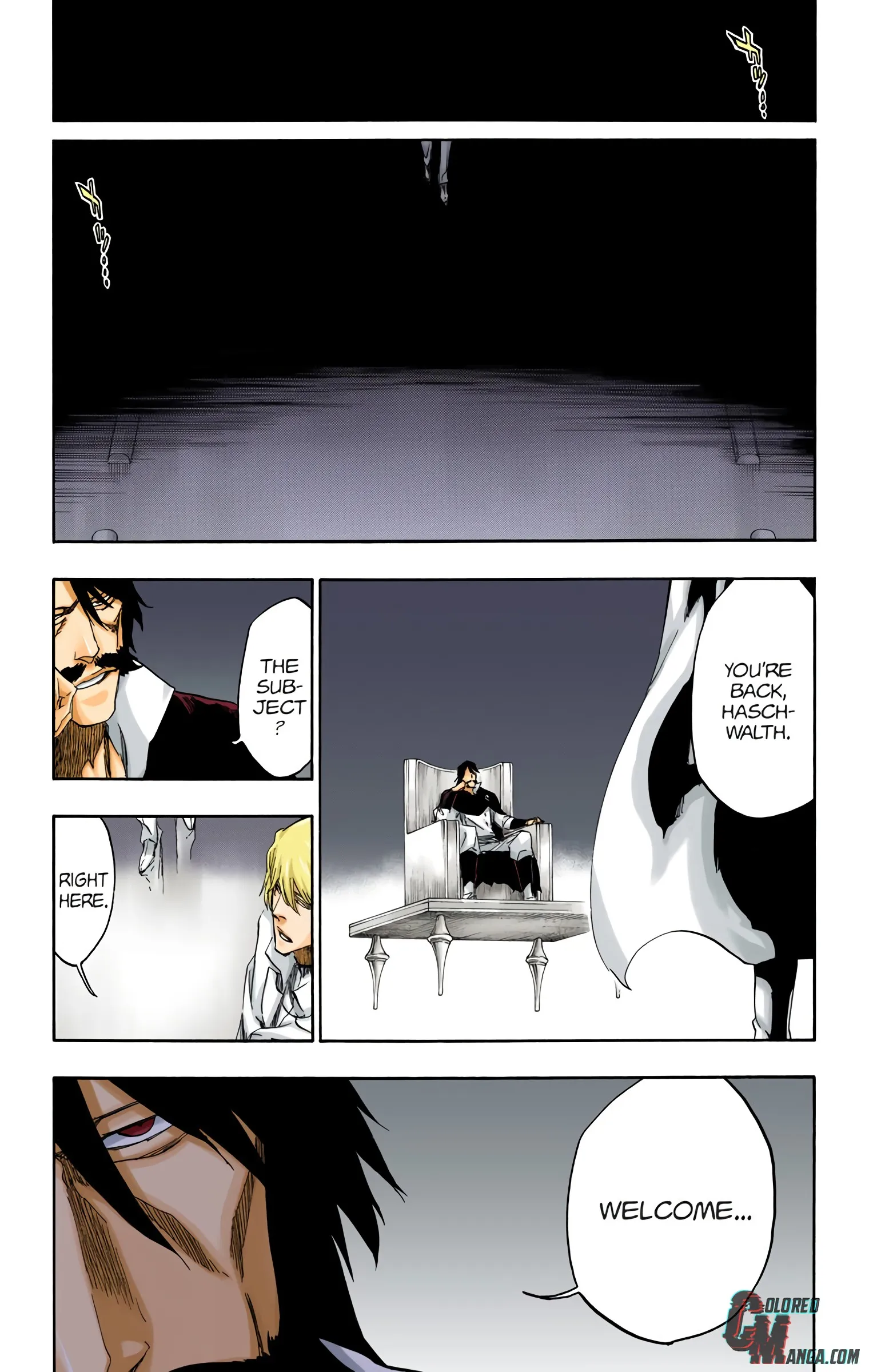Read Bleach (Colored) EN Manga Online