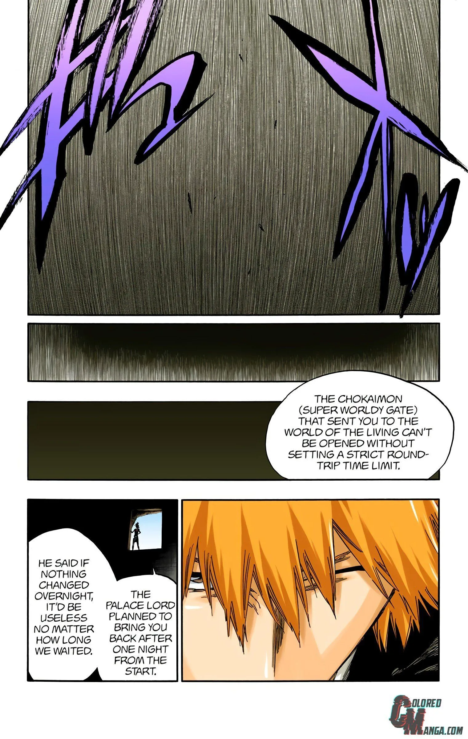 Read Bleach (Colored) EN Manga Online