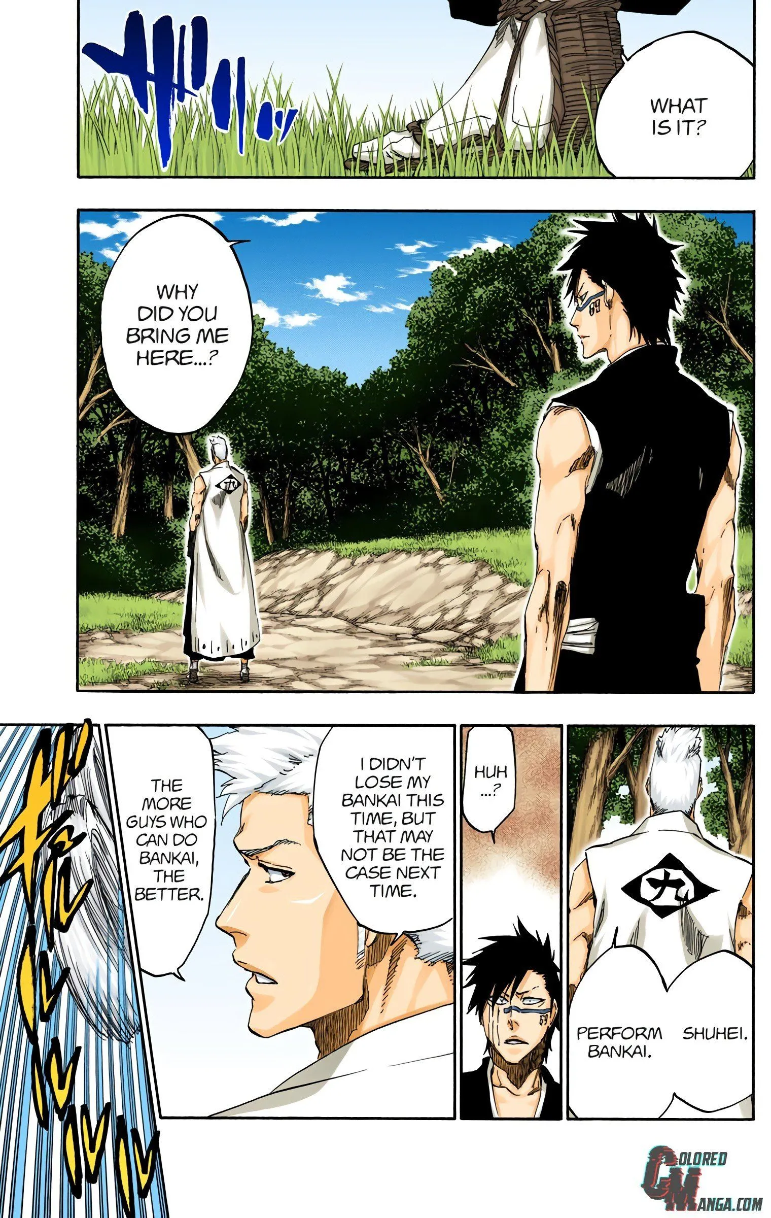 Read Bleach (Colored) EN Manga Online
