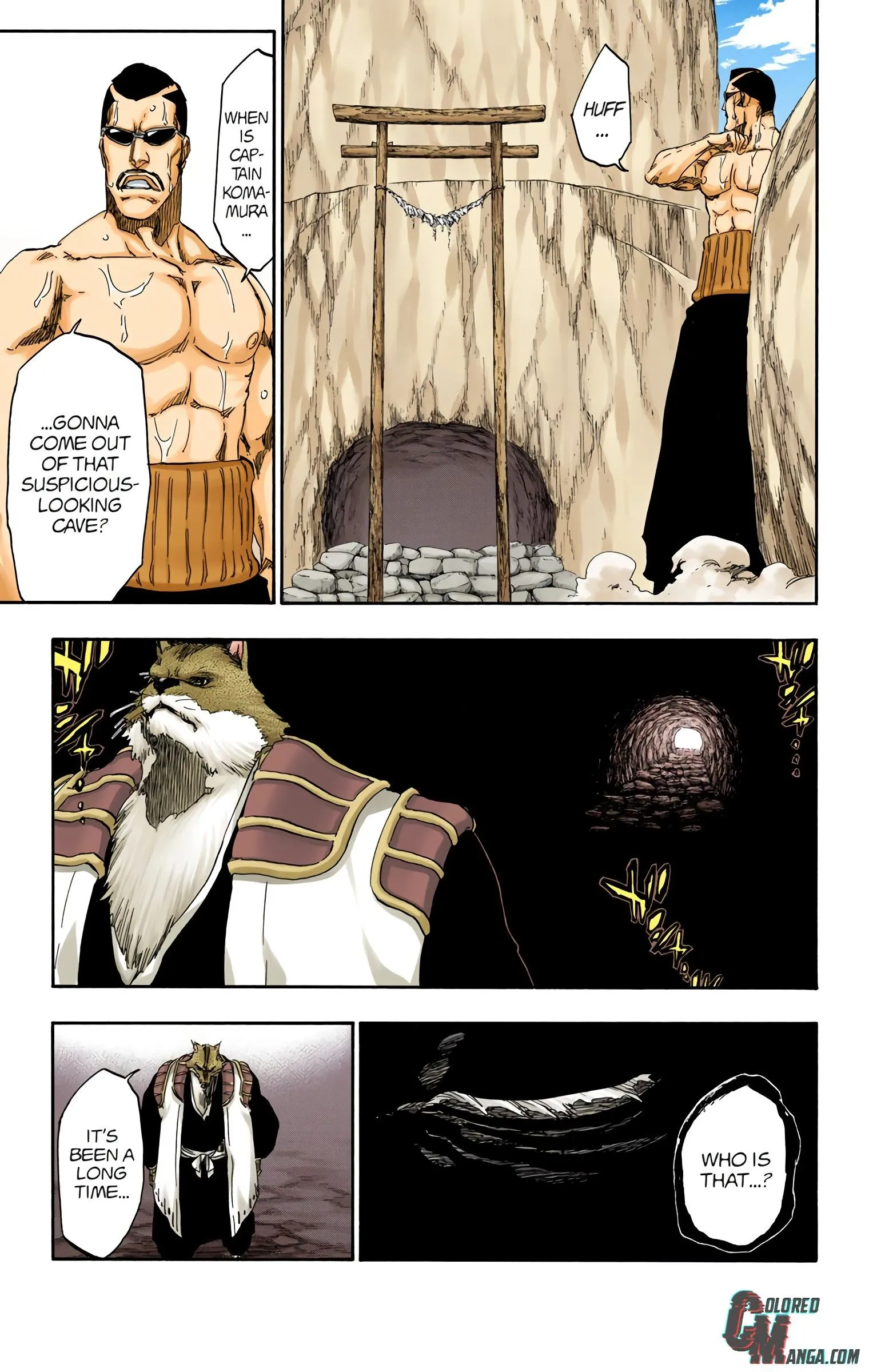 Read Bleach (Colored) EN Manga Online
