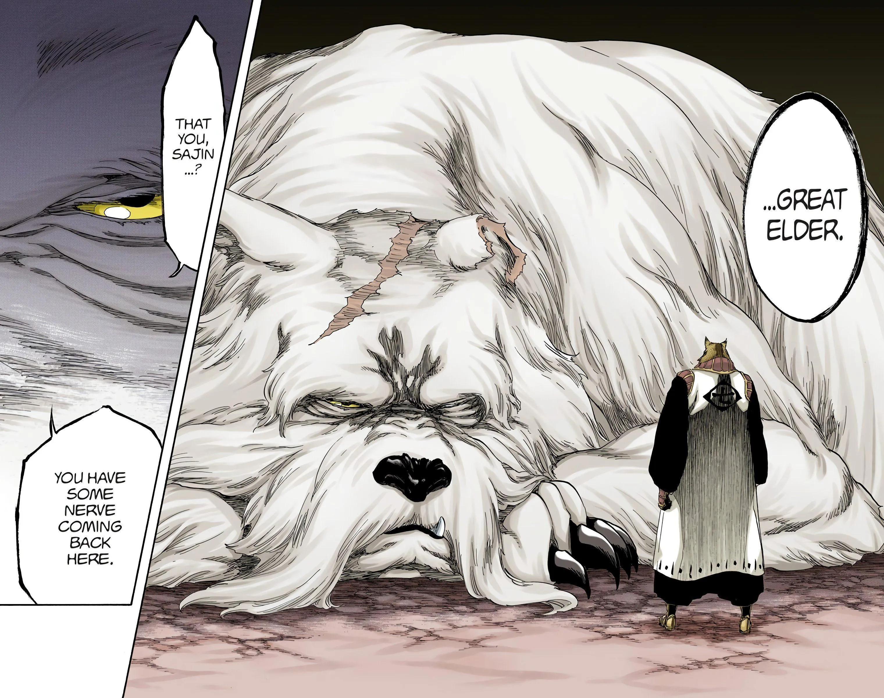 Read Bleach (Colored) EN Manga Online