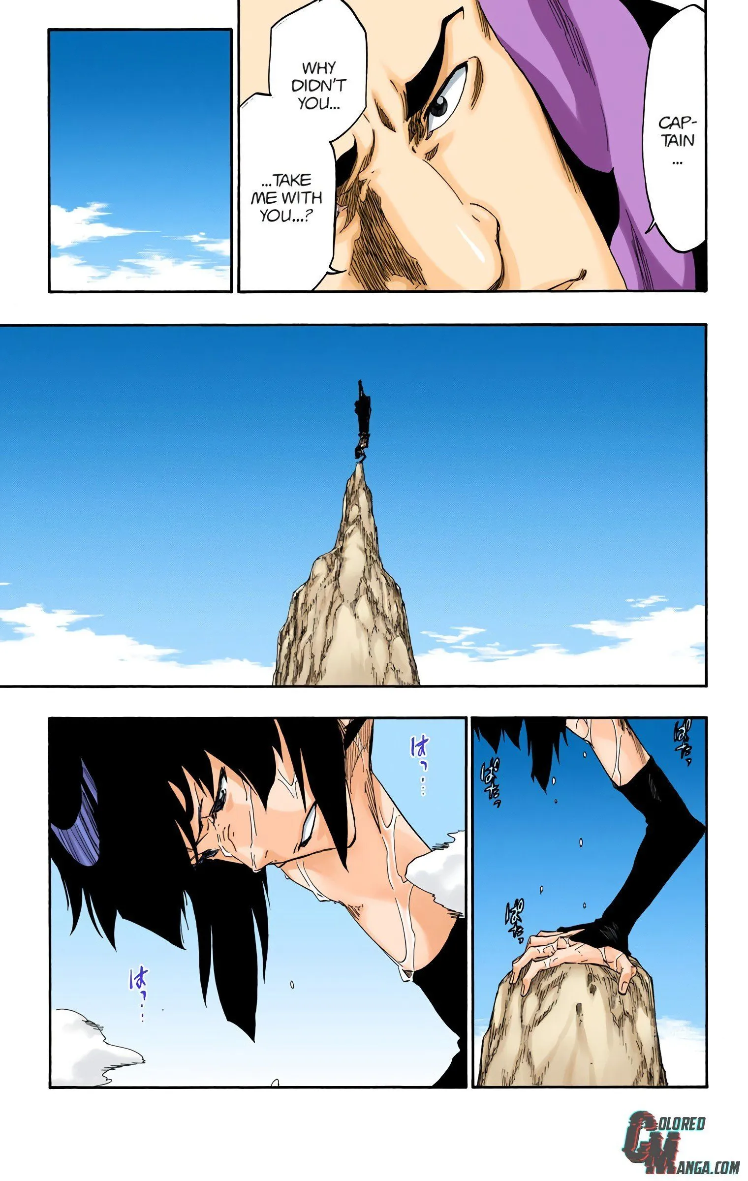 Read Bleach (Colored) EN Manga Online