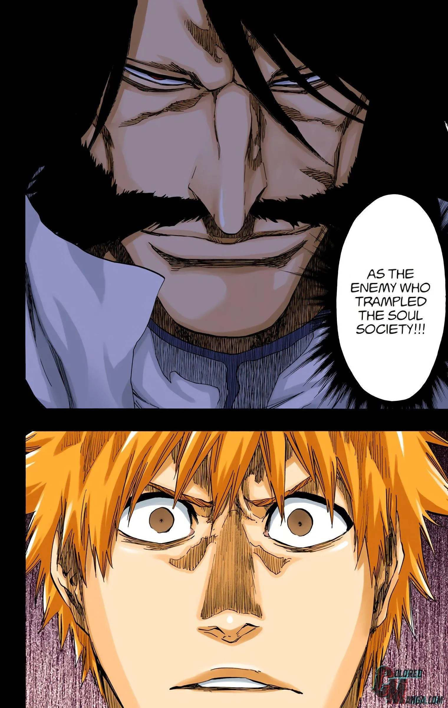 Read Bleach (Colored) EN Manga Online