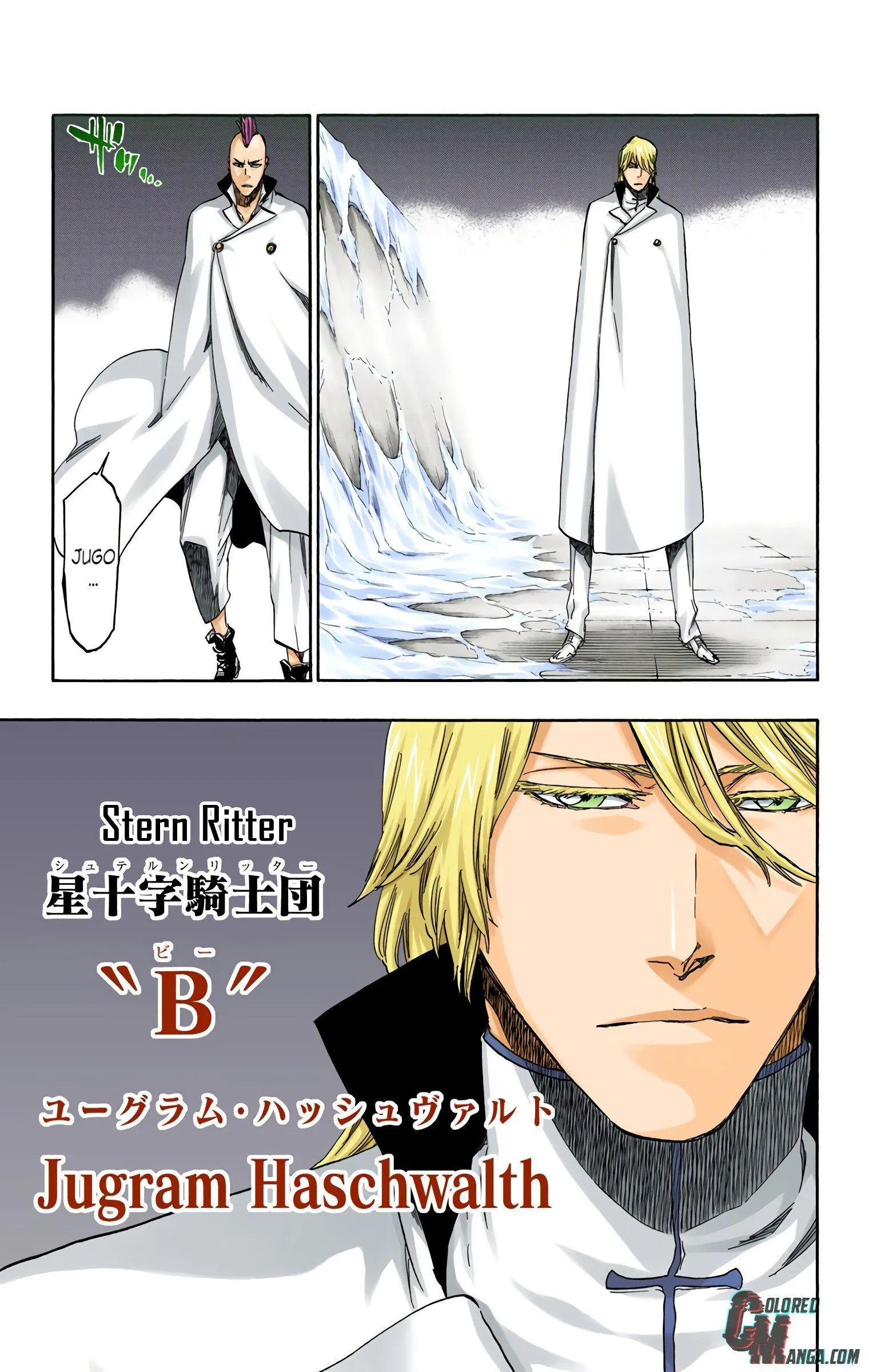 Read Bleach (Colored) EN Manga Online