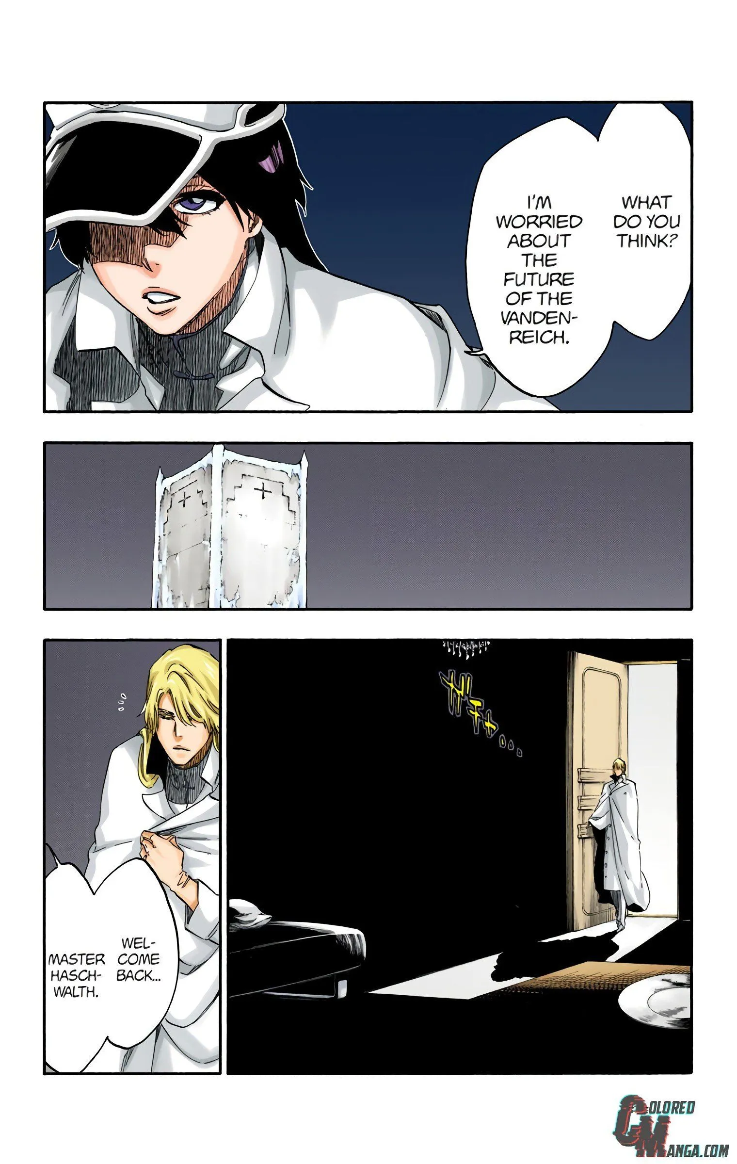 Read Bleach (Colored) EN Manga Online