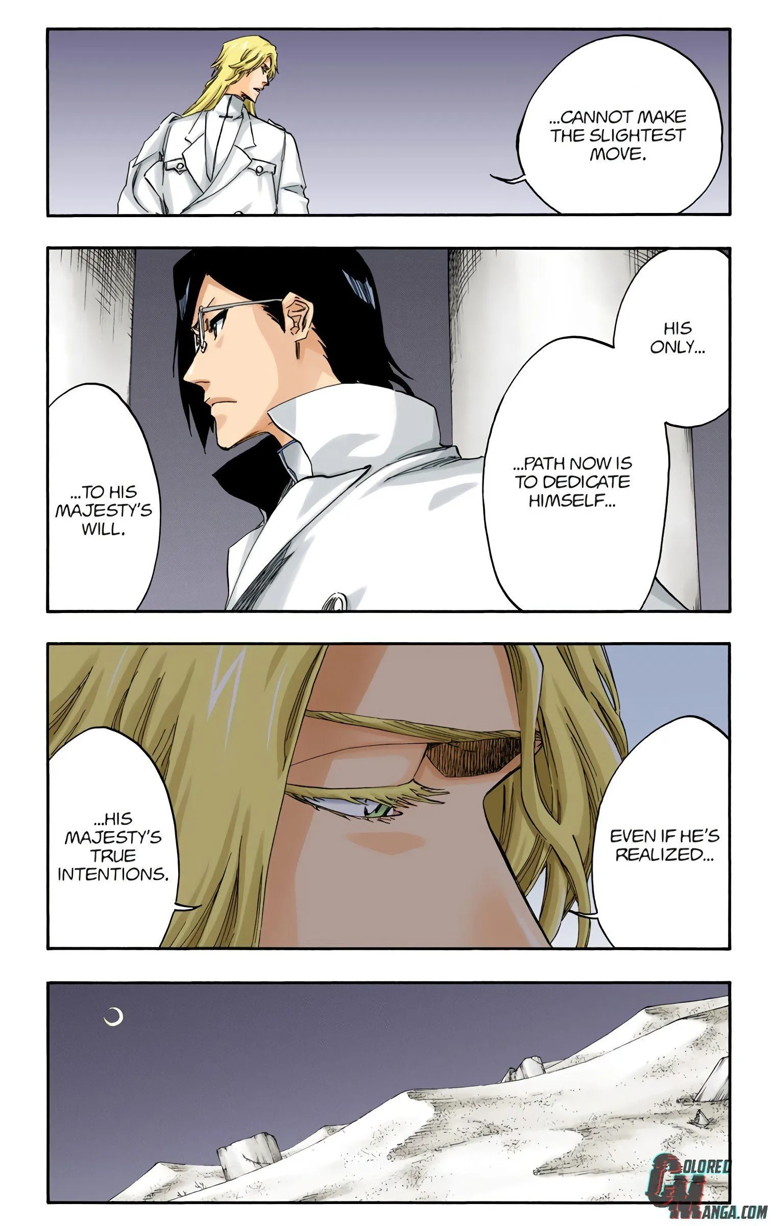 Read Bleach (Colored) EN Manga Online