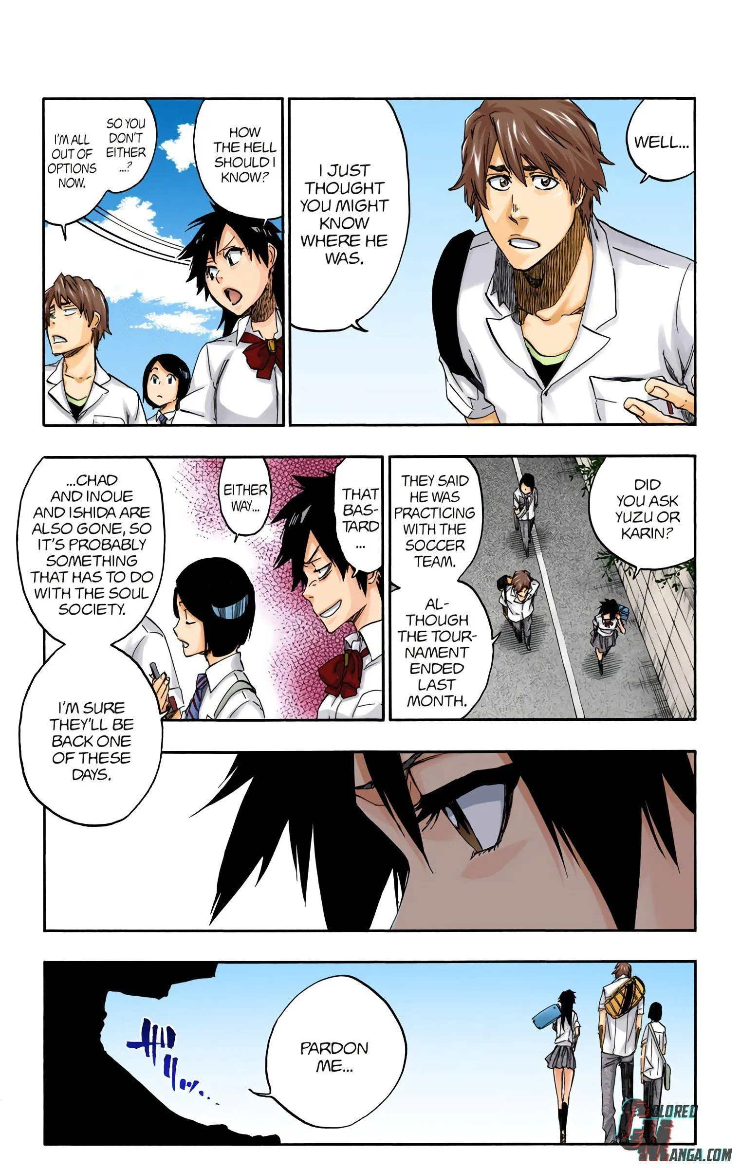 Read Bleach (Colored) EN Manga Online